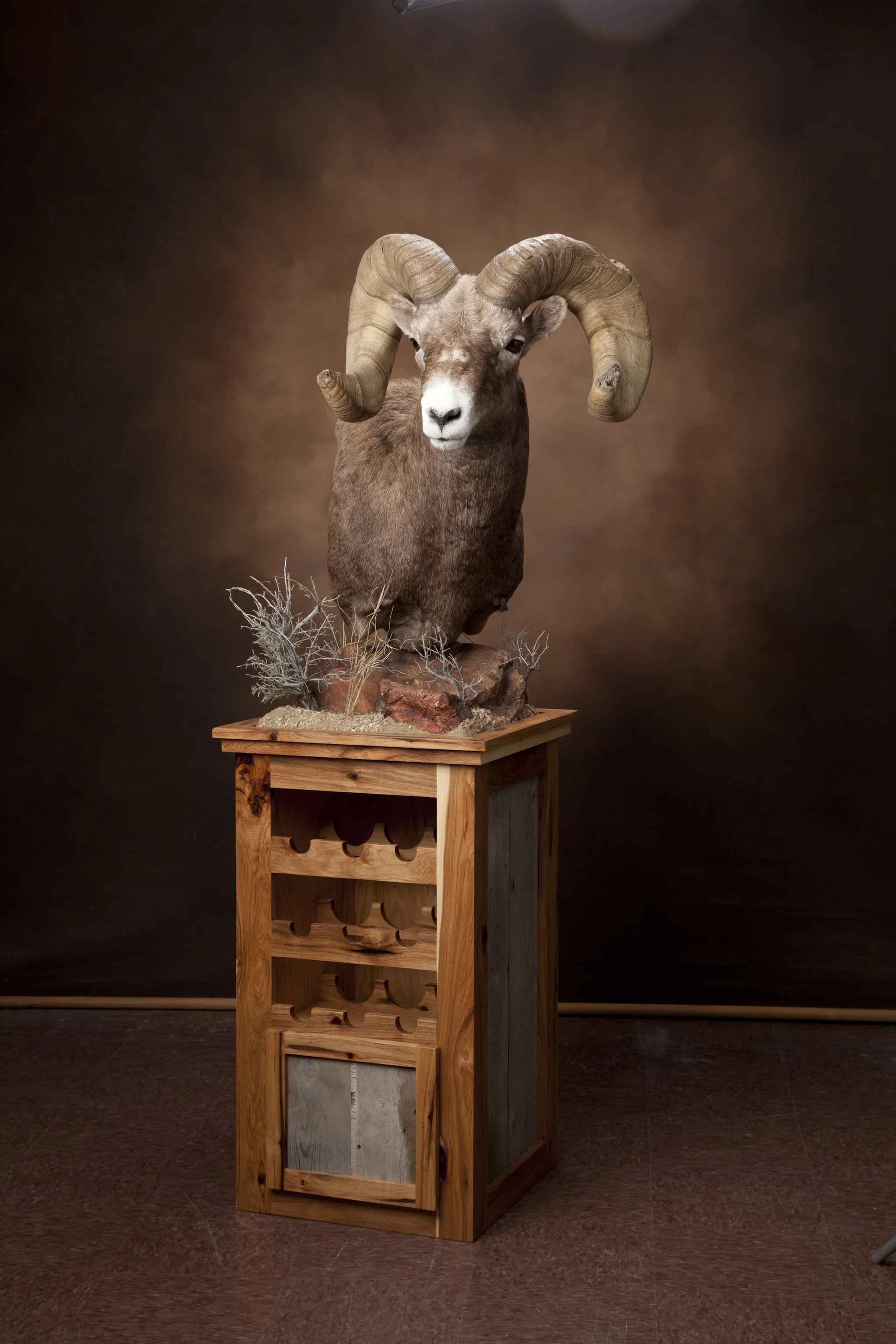 Mounted taxidermy of a ram with large, curved horns, placed on a wooden stand with a brown background.