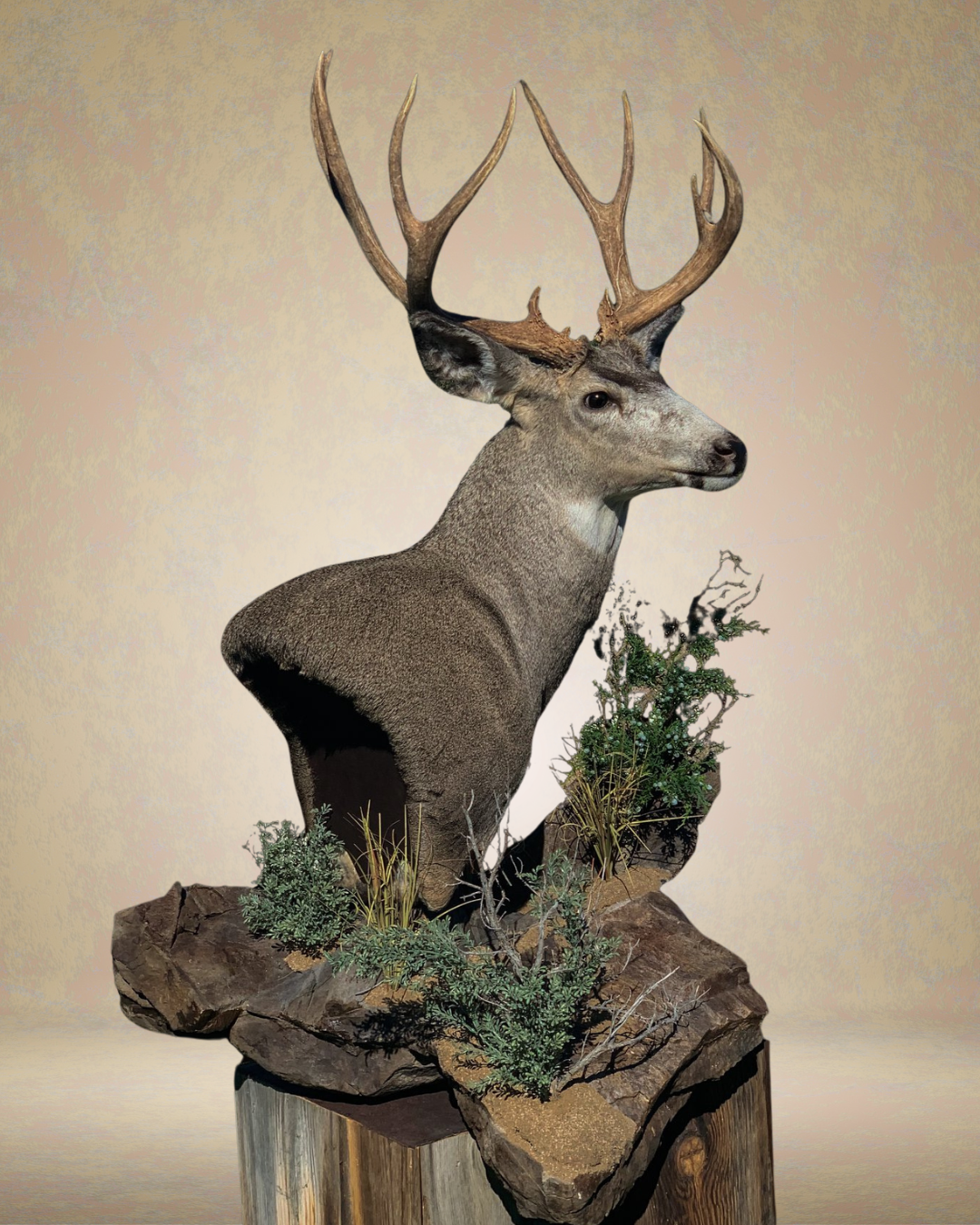 Mounted deer head with antlers on a rock, with artificial plants and grass at the base.
