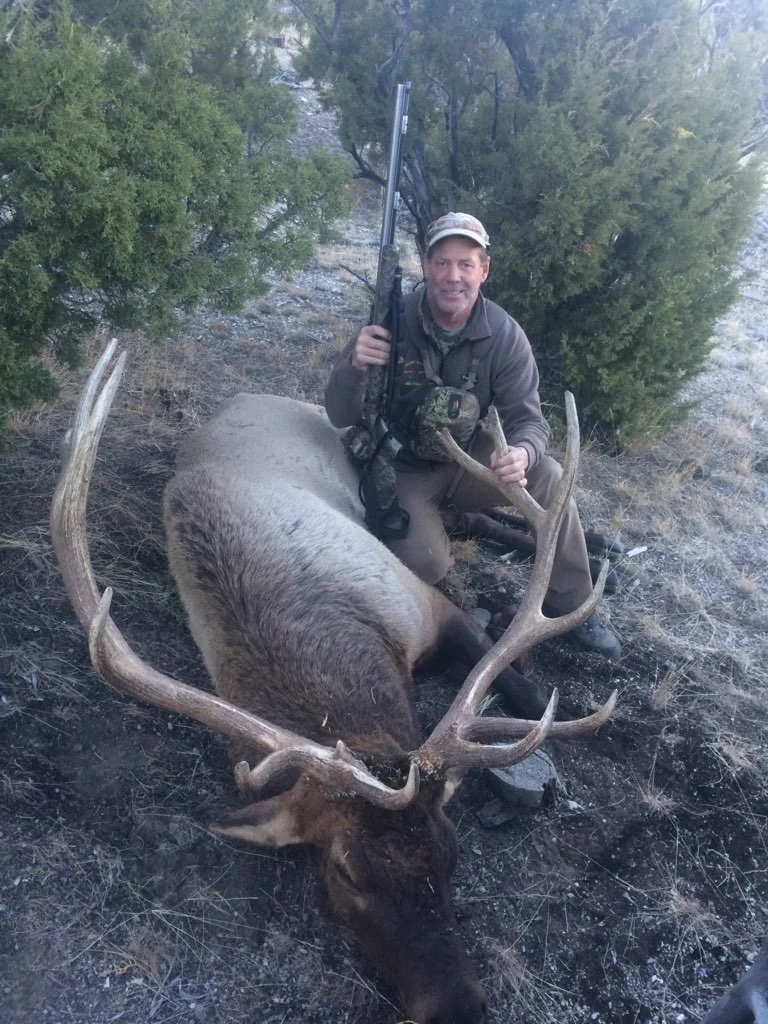 A man kneeling next to a large dead elk with big antlers on a forested hillside.