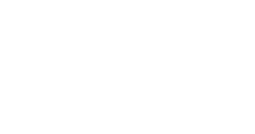 Woodpecker Logo White