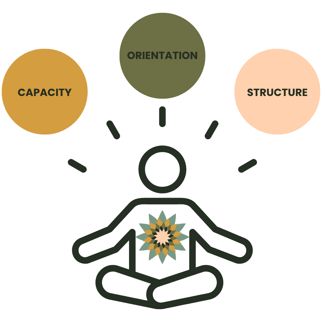 Diagram of a person in a meditative pose with three circles labeled Capacity, Orientation, and Structure surrounding them, connected with dotted lines.