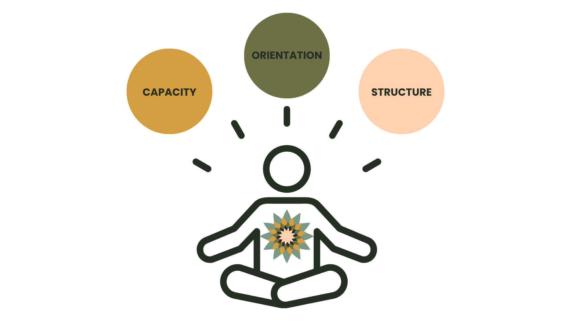 Diagram of a person meditating with a flower at the center, surrounded by three circles labeled 'Capacity,' 'Orientation,' and 'Structure.'