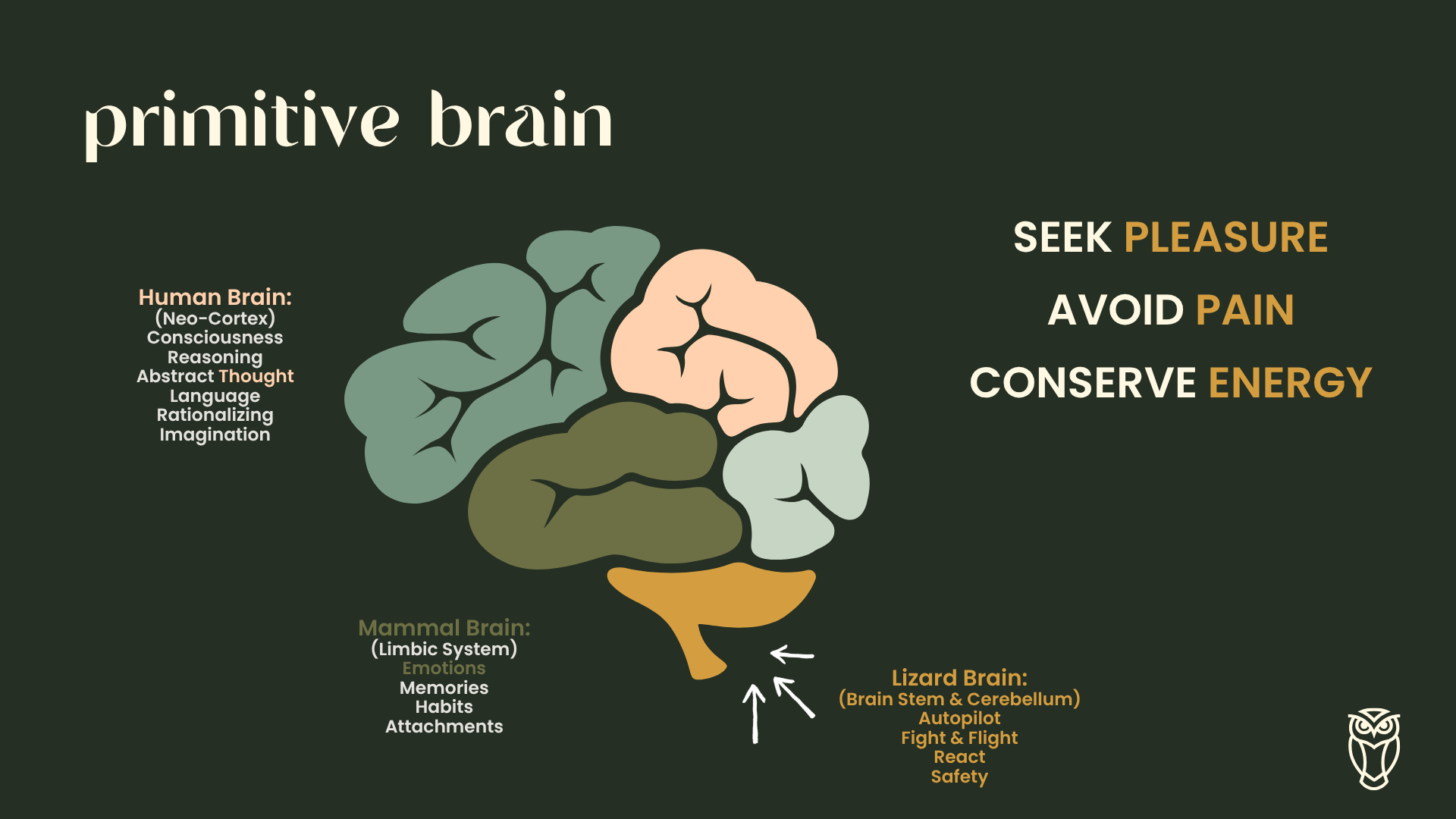 Diagram of a primitive brain with sections labeled as human, mammal, and lizard brains, highlighting functions such as seeking pleasure, avoiding pain, conserving energy, reasoning, imagination, and autopilot behaviors.