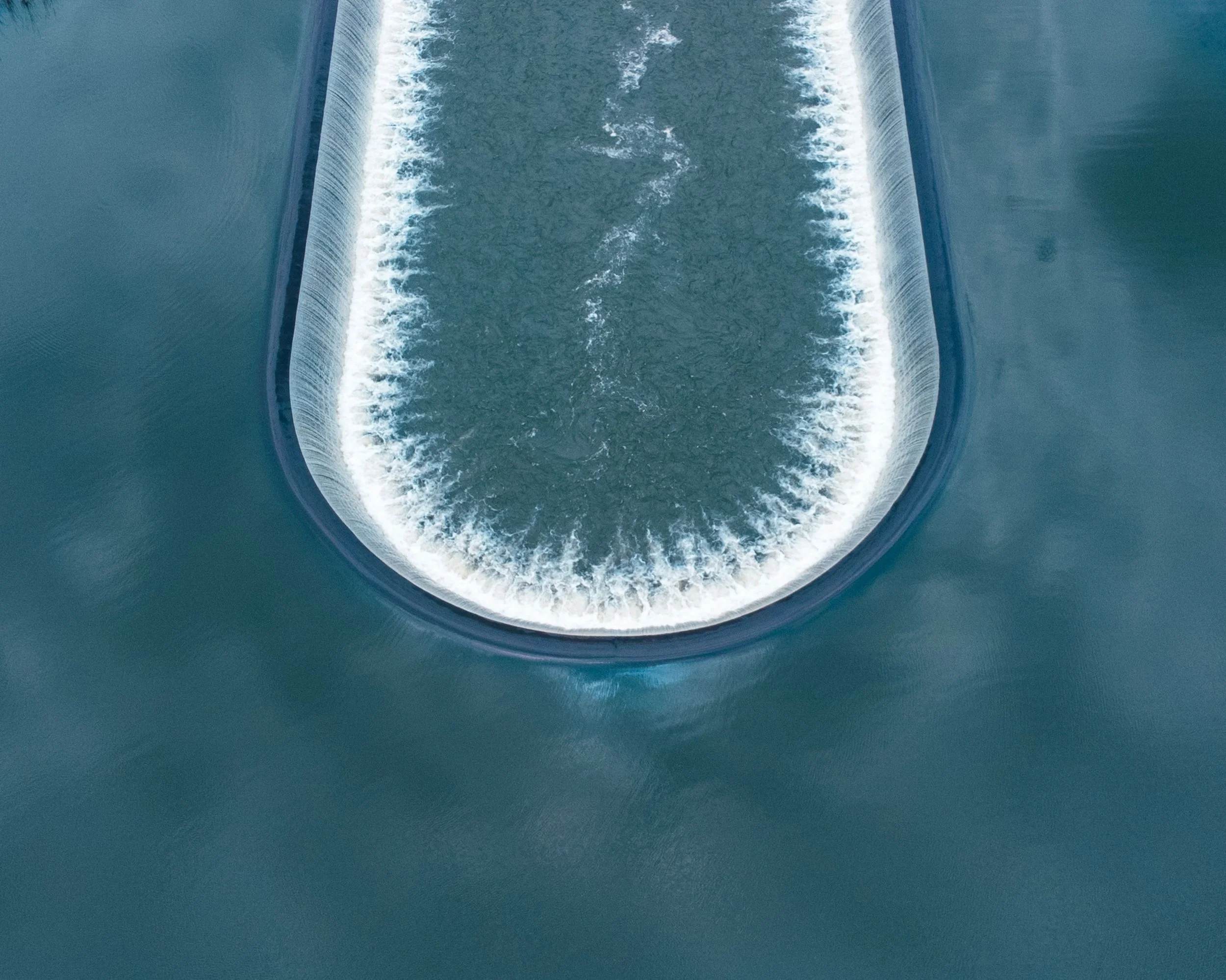 How Does the Small Intestine Keep Bacteria in Check?