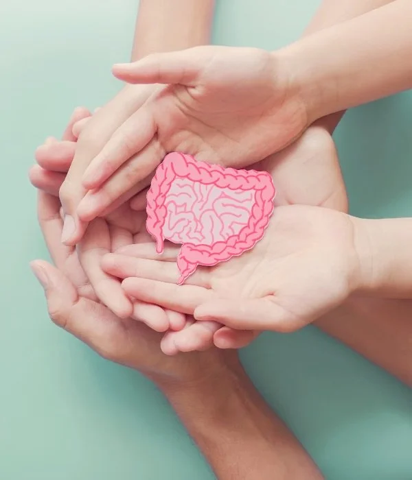 Multiple hands of different skin tones surrounding a pink illustration of a human intestine.