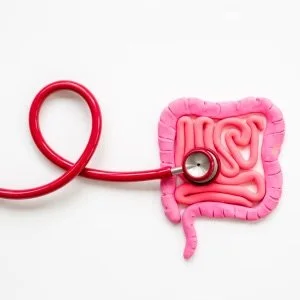 A stethoscope connecting to a model of the human intestines, symbolizing medical examination of the digestive system.