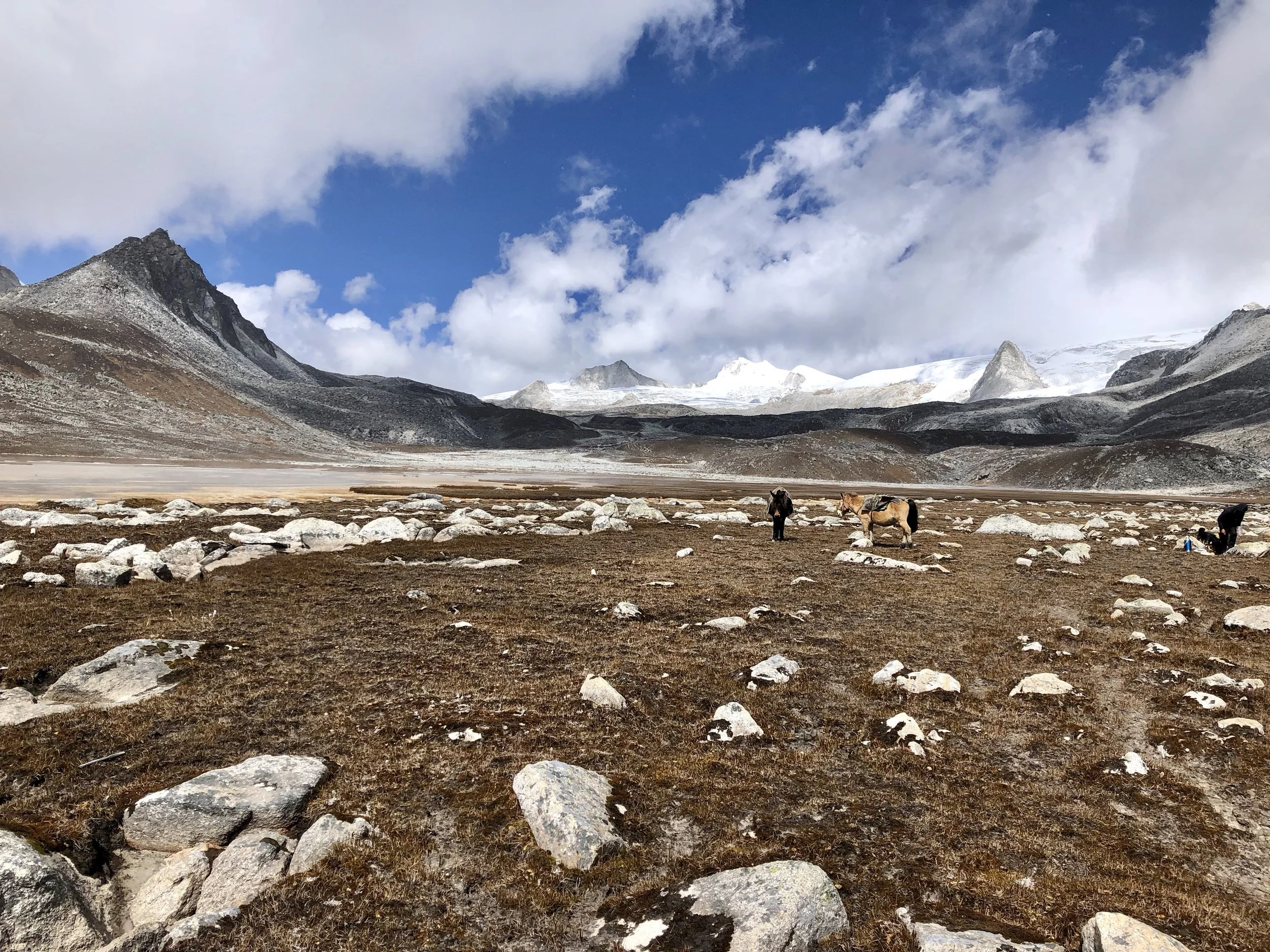 Yak Crossing on the Snowman Trek | Matt and Wahyu Travel.jpeg