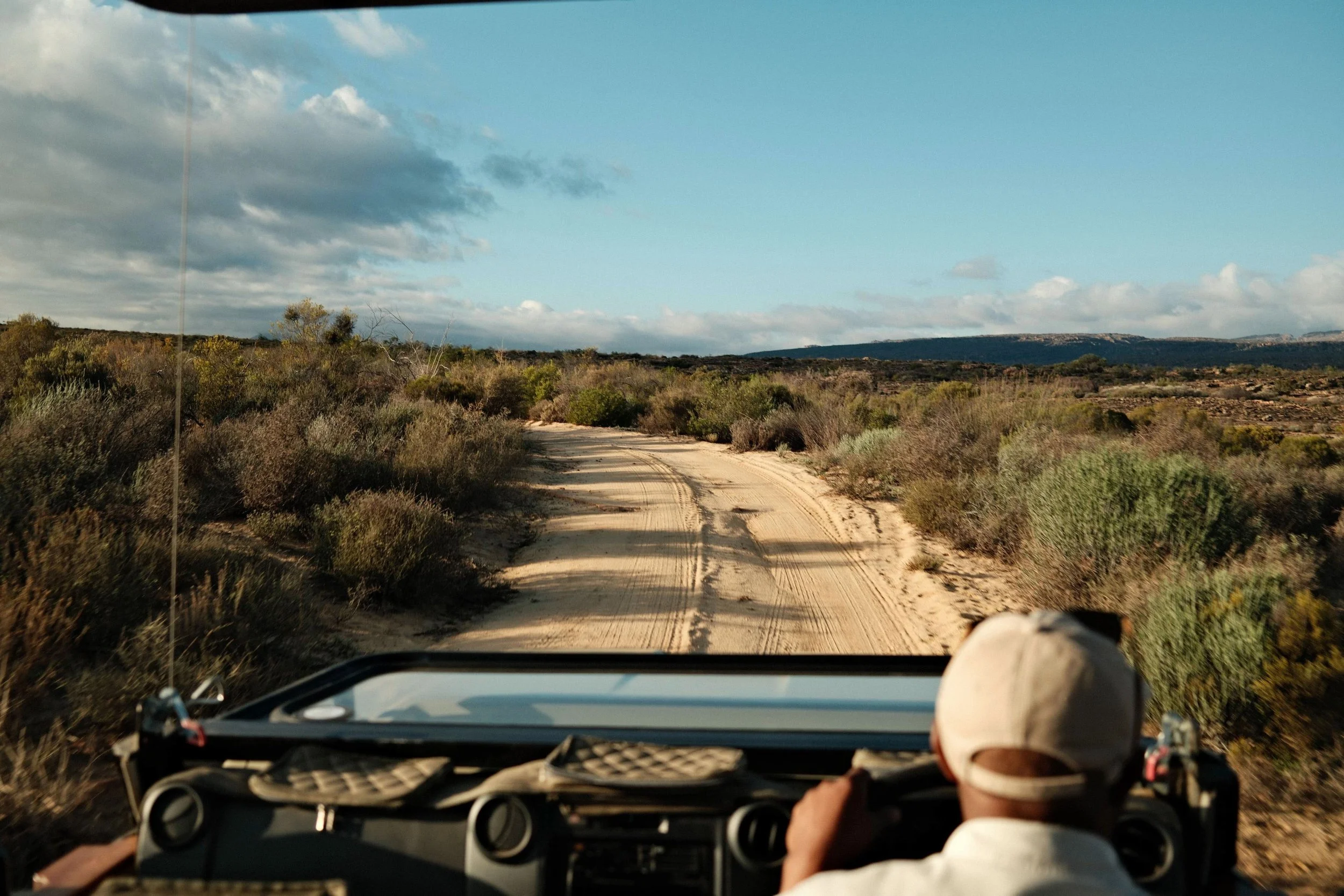 View from an open safari vehicle travelling along a sandy track through the low scrubland of Bushmans Kloof.