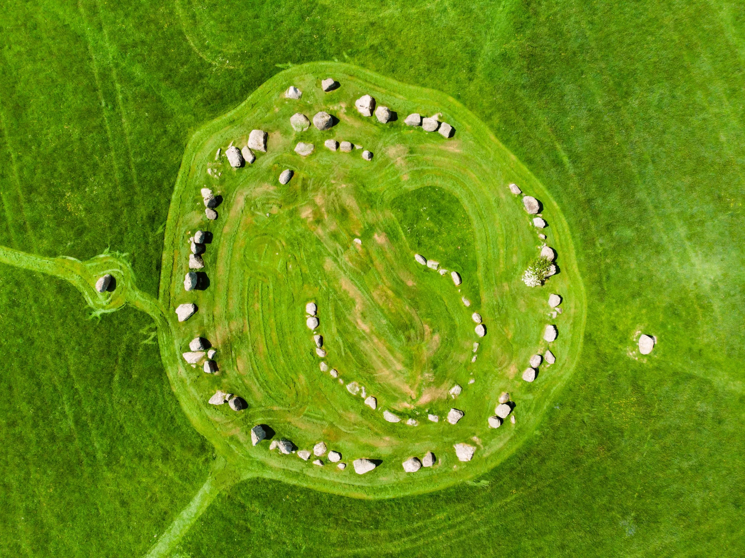 Organising for Sustainability