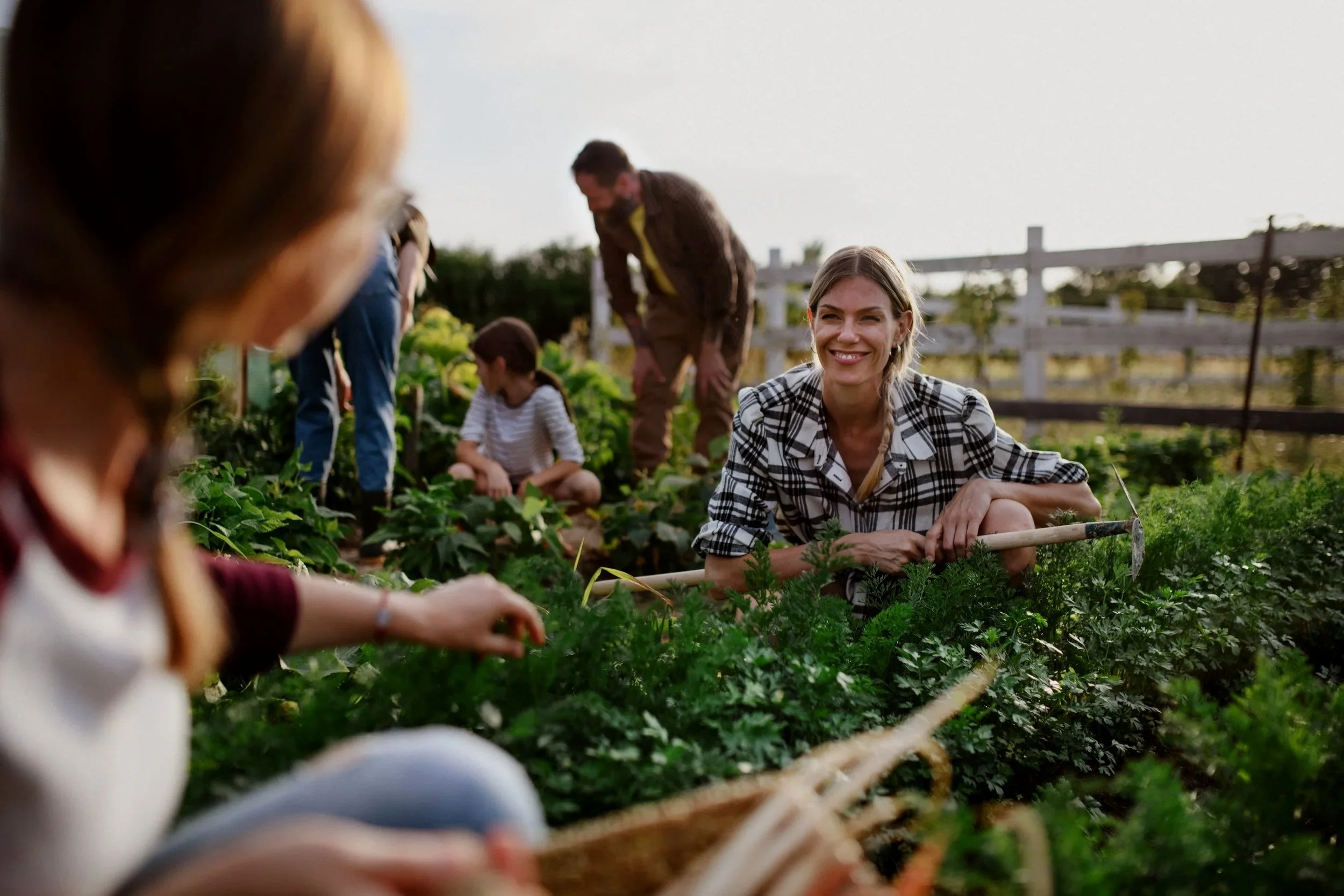 People in a garden or farm, including a woman in a checkered shirt smiling and gardening, and children and a man planting or harvesting plants.
