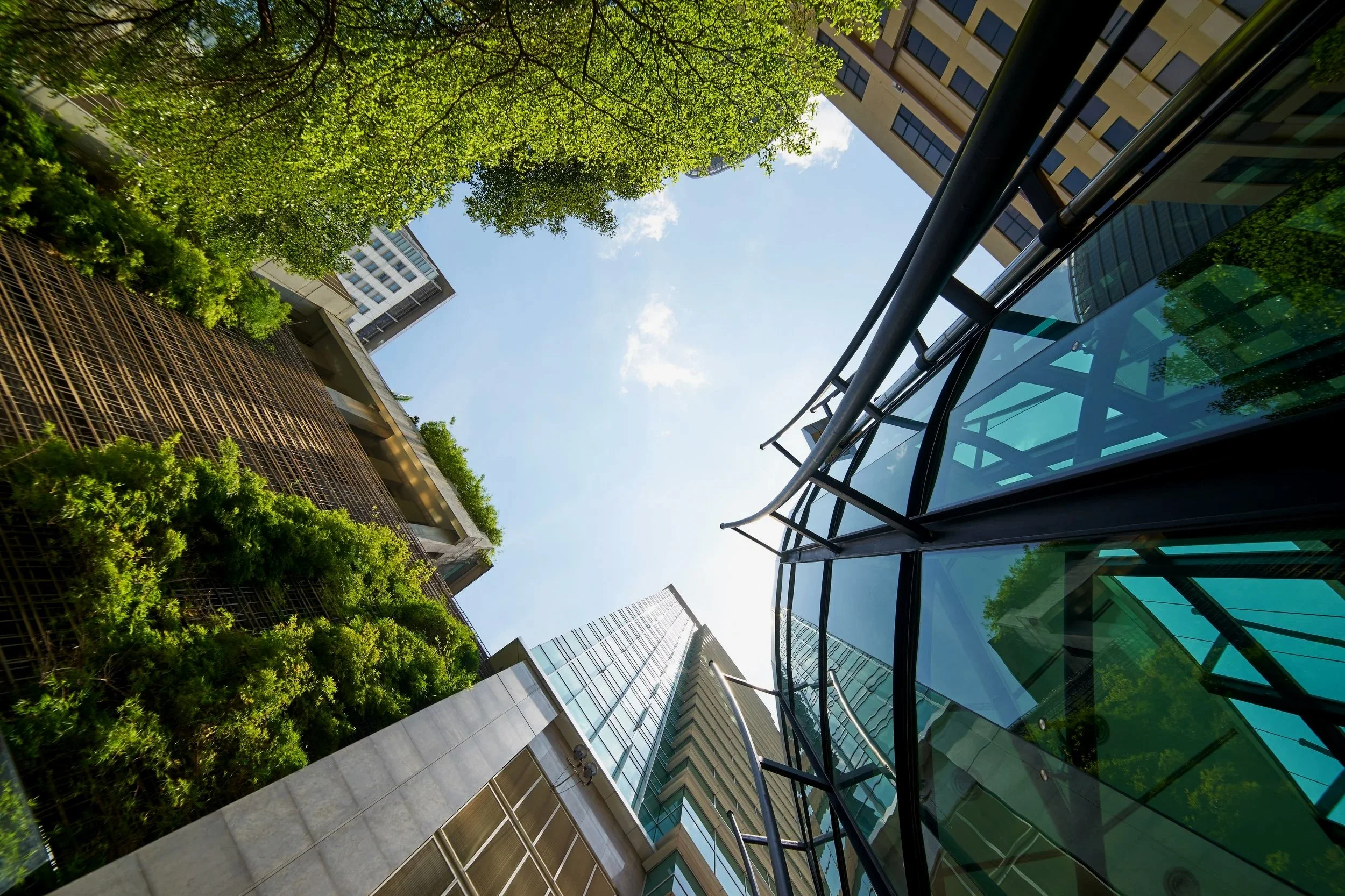View of green trees and modern buildings with glass windows seen from below, with a partly cloudy sky in the background.