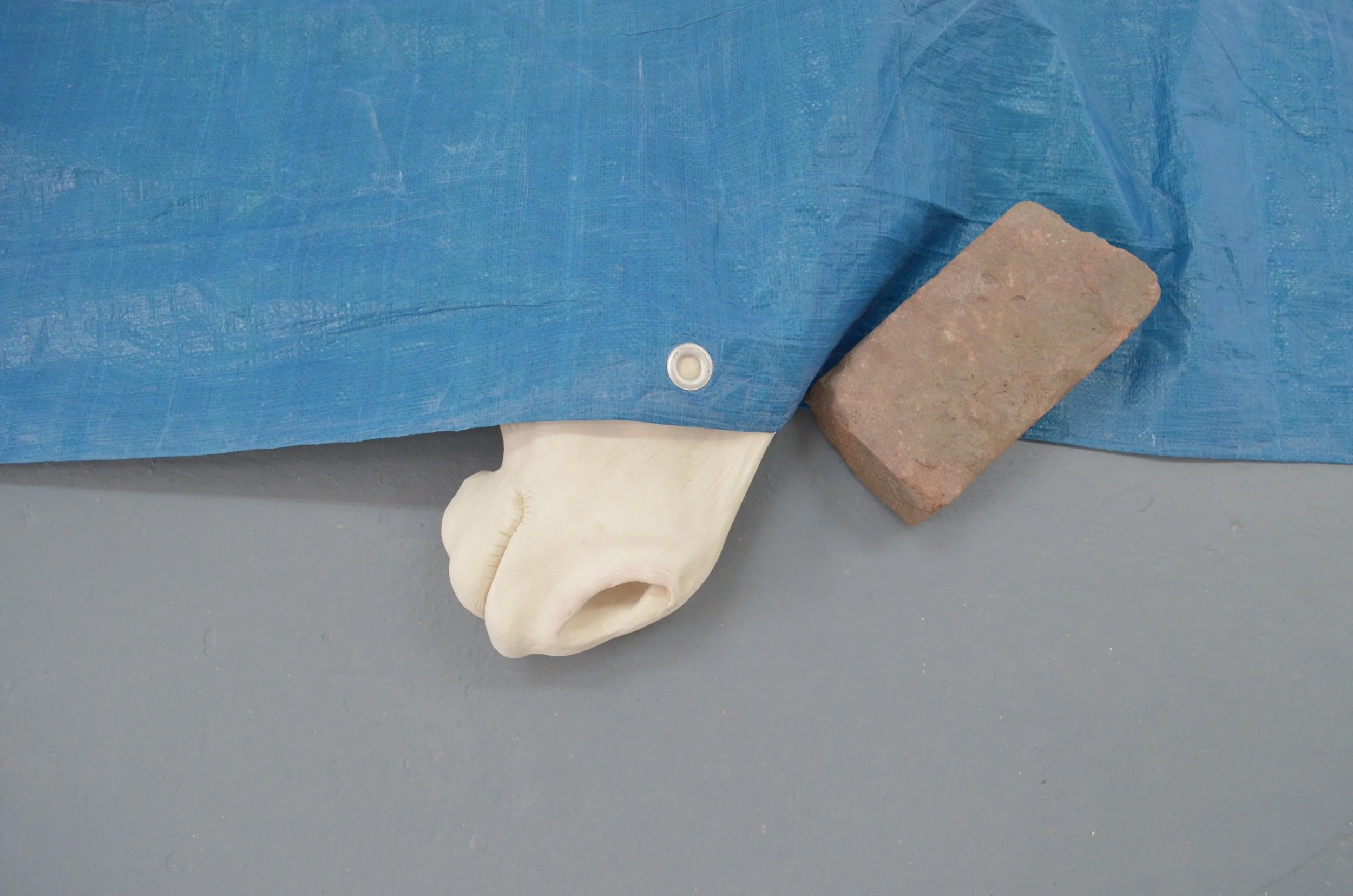 Close-up of a horse's nose and mouth protruding from under a blue tarp, with a brick nearby on a gray floor.