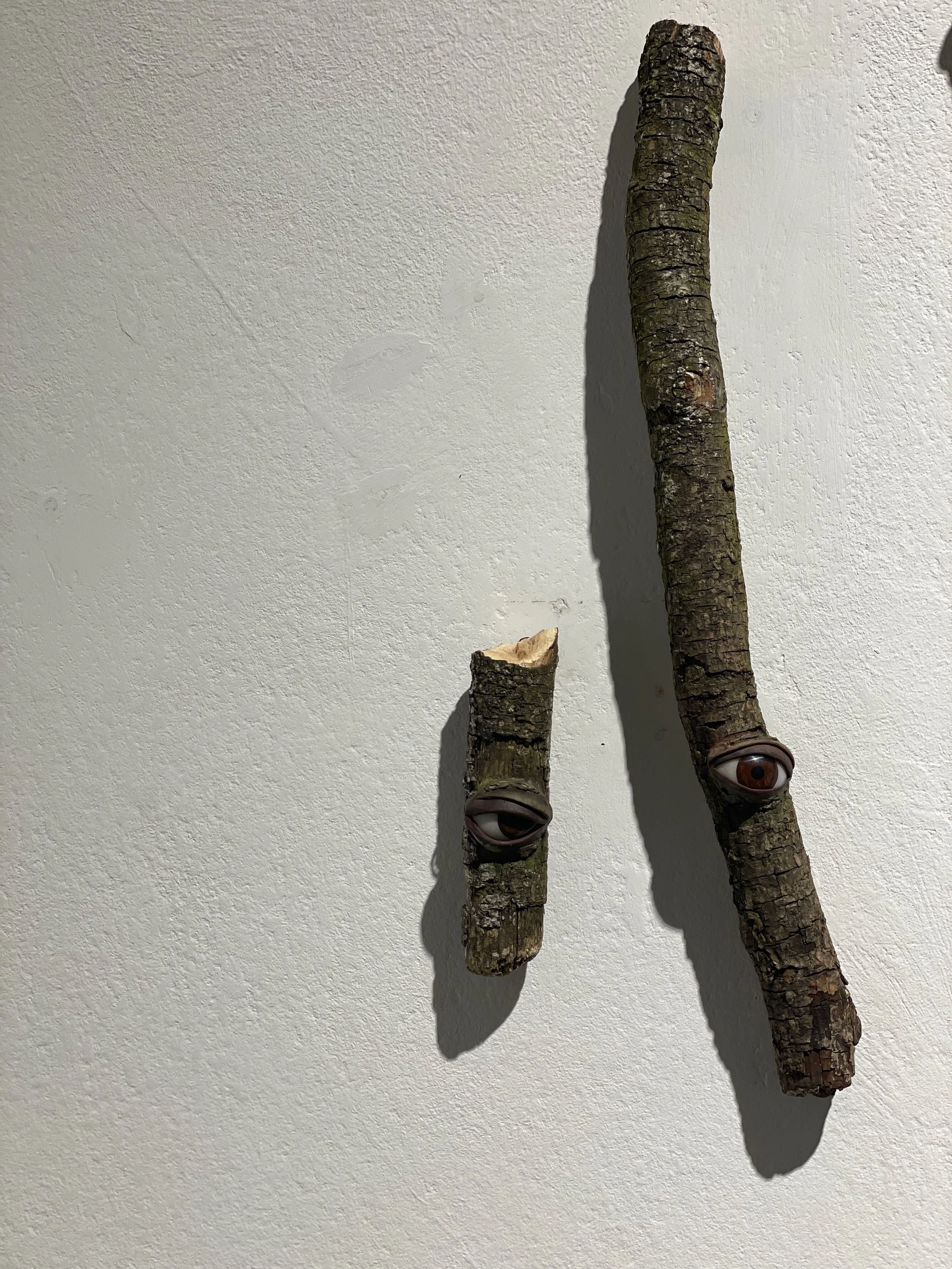 Two tree branches mounted on a white wall, each with an eye. The branches are textured and have a natural look, with the smaller branch having a cut end showing wood.