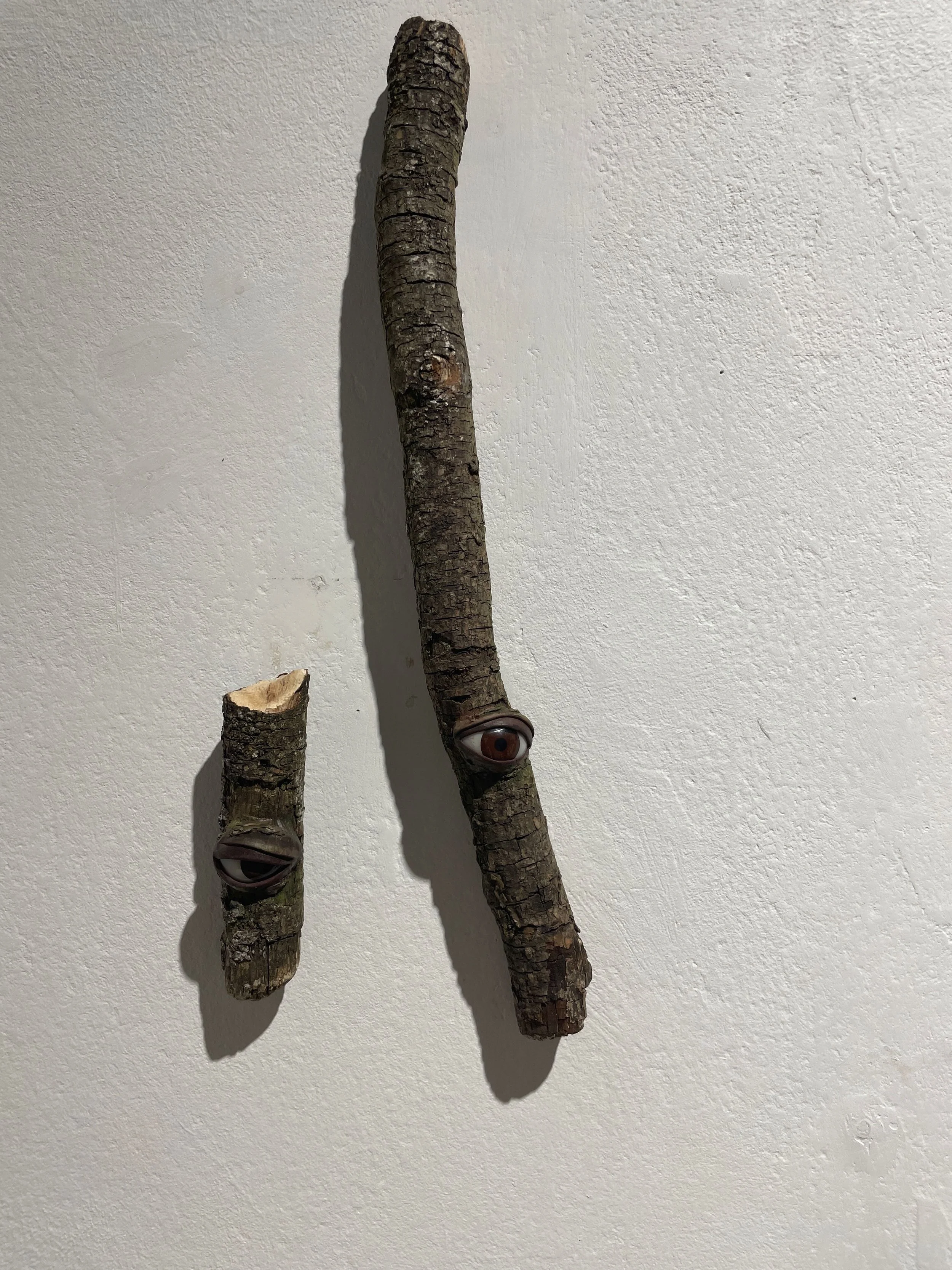 Two pieces of wood with eyes and eyebrows attached, mounted on a white wall, creating a whimsical face.