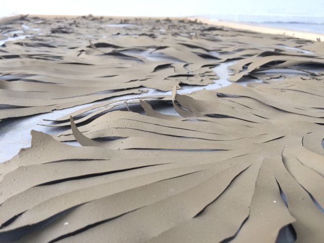 Close-up view of cracked, dry mud on the beach with the ocean in the background.