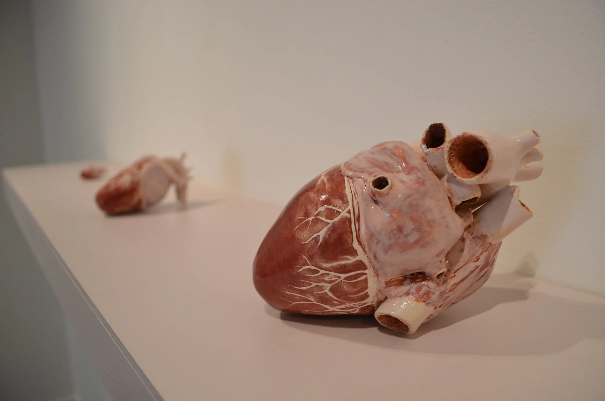 An anatomical model of a human heart with some tubes or connectors attached, placed on a white shelf.