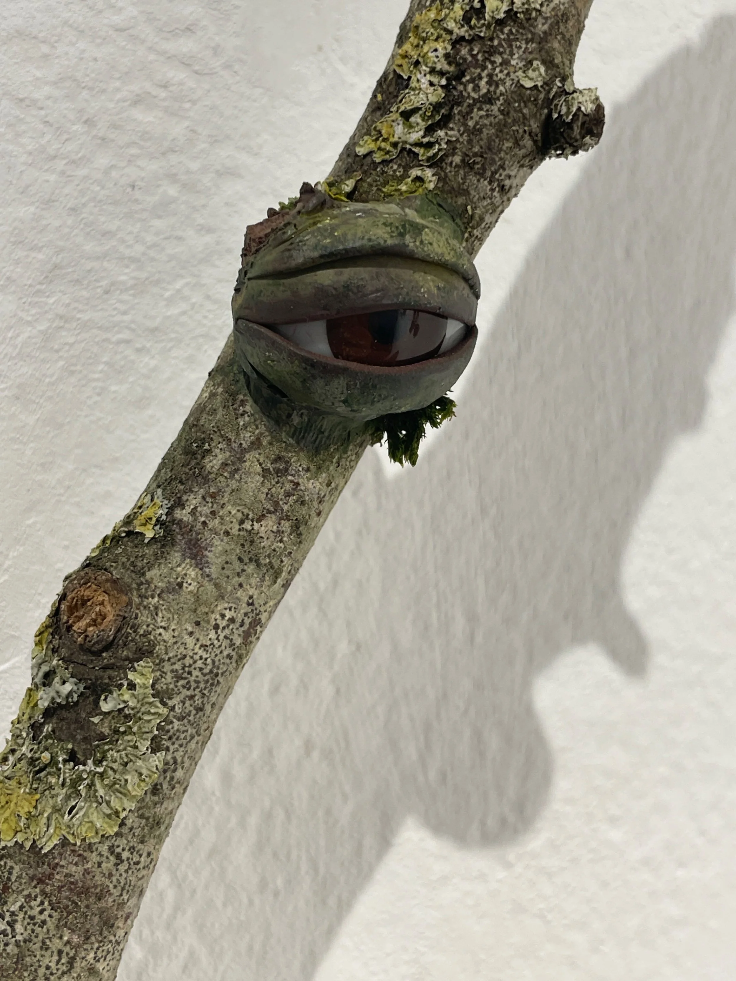 A tree branch with a creature resembling a lizard or frog, with an eye and big lips, attached to it.