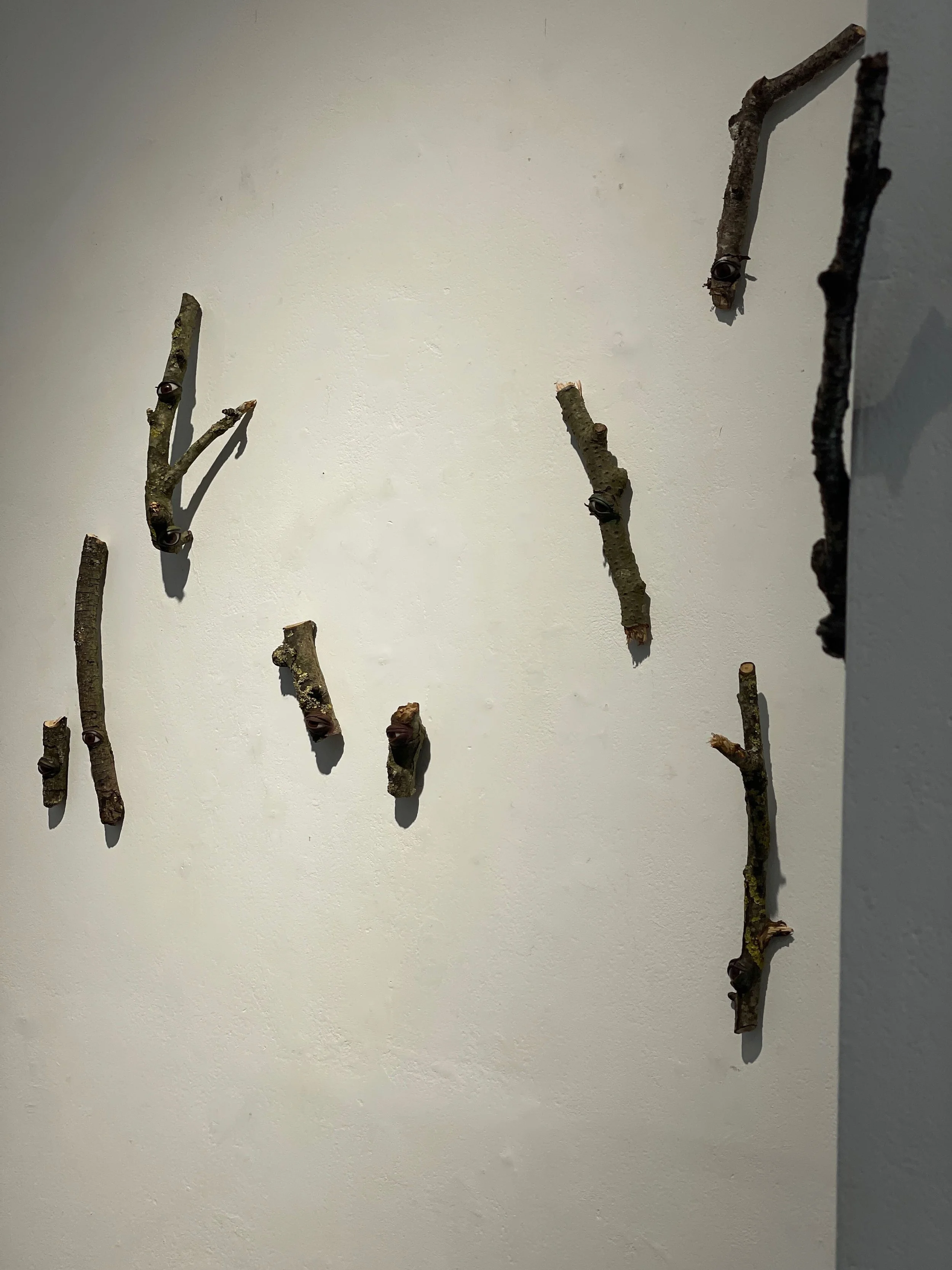 Multiple small tree branches arranged on a plain white wall.