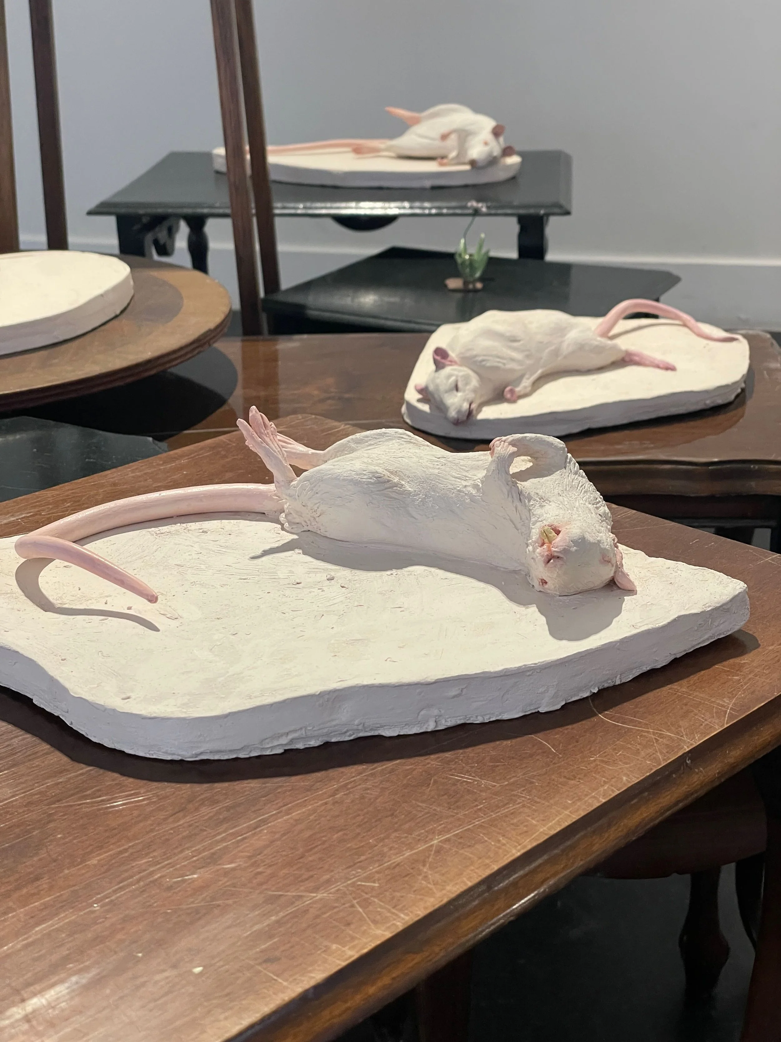 On the side table of life rat #3