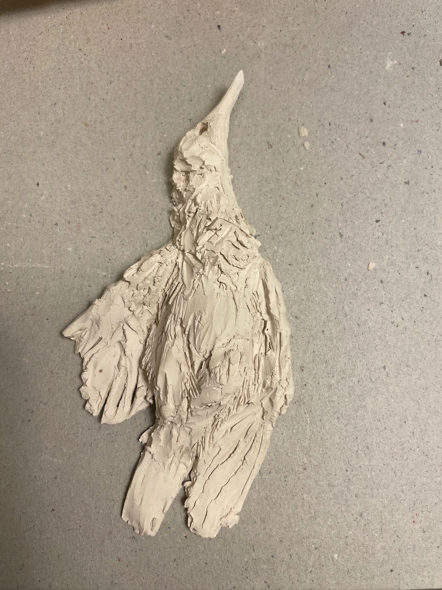 A dried, cracked leaf or bark fragment with a pointed tip, beige in color, lying on a gray surface.