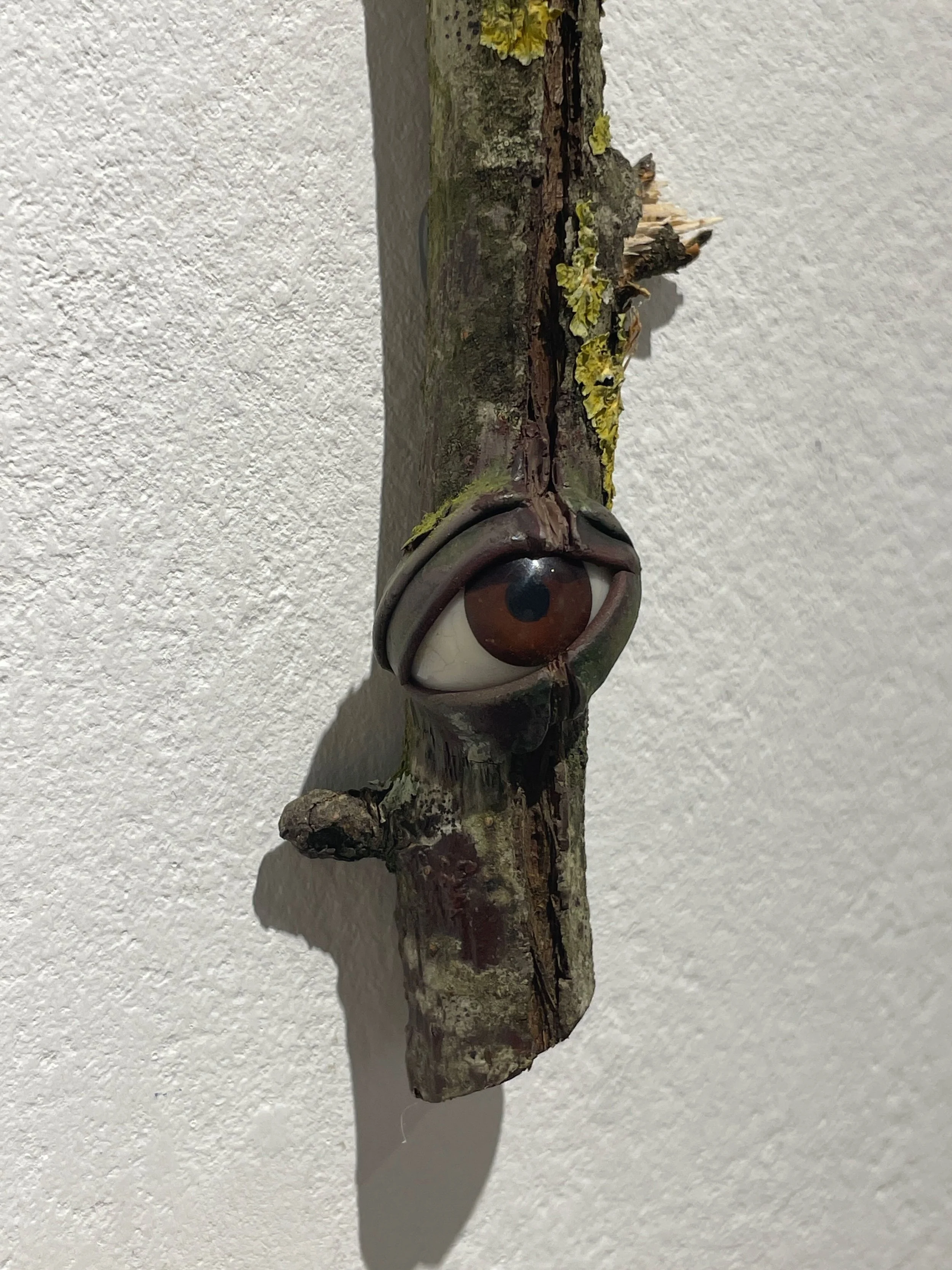 A piece of tree branch with a large, realistic eye sculpture attached to it, mounted on a white wall.
