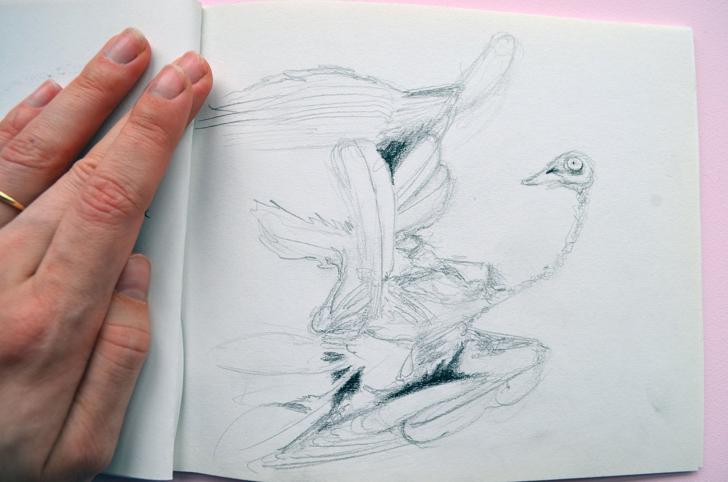 A hand holding a sketchbook with a pencil drawing of a bird in flight.