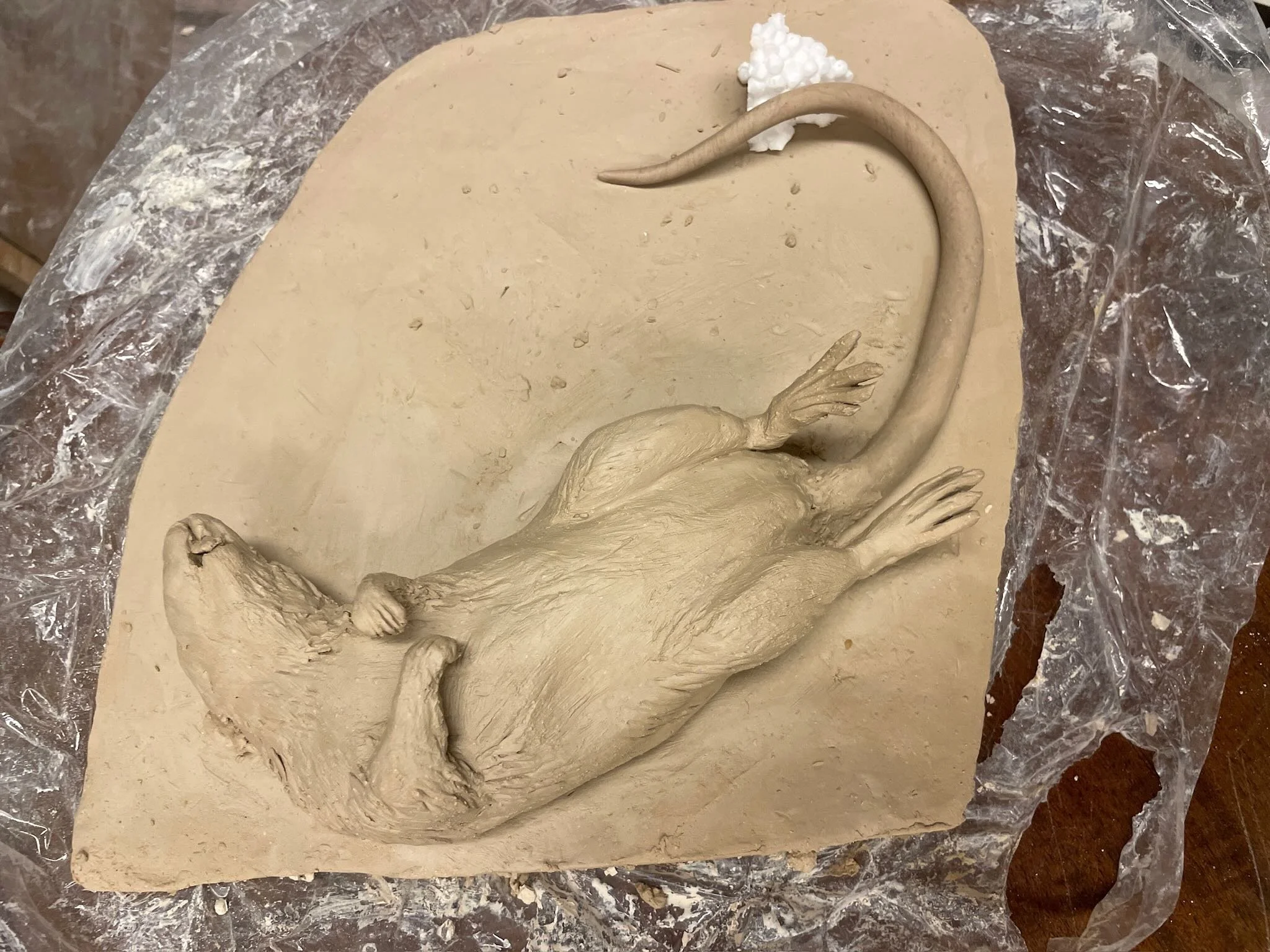 Ceramic sculpture of a rat lying on its back on a clay slab, with a long curved tail and detailed features, on a plastic-covered surface.