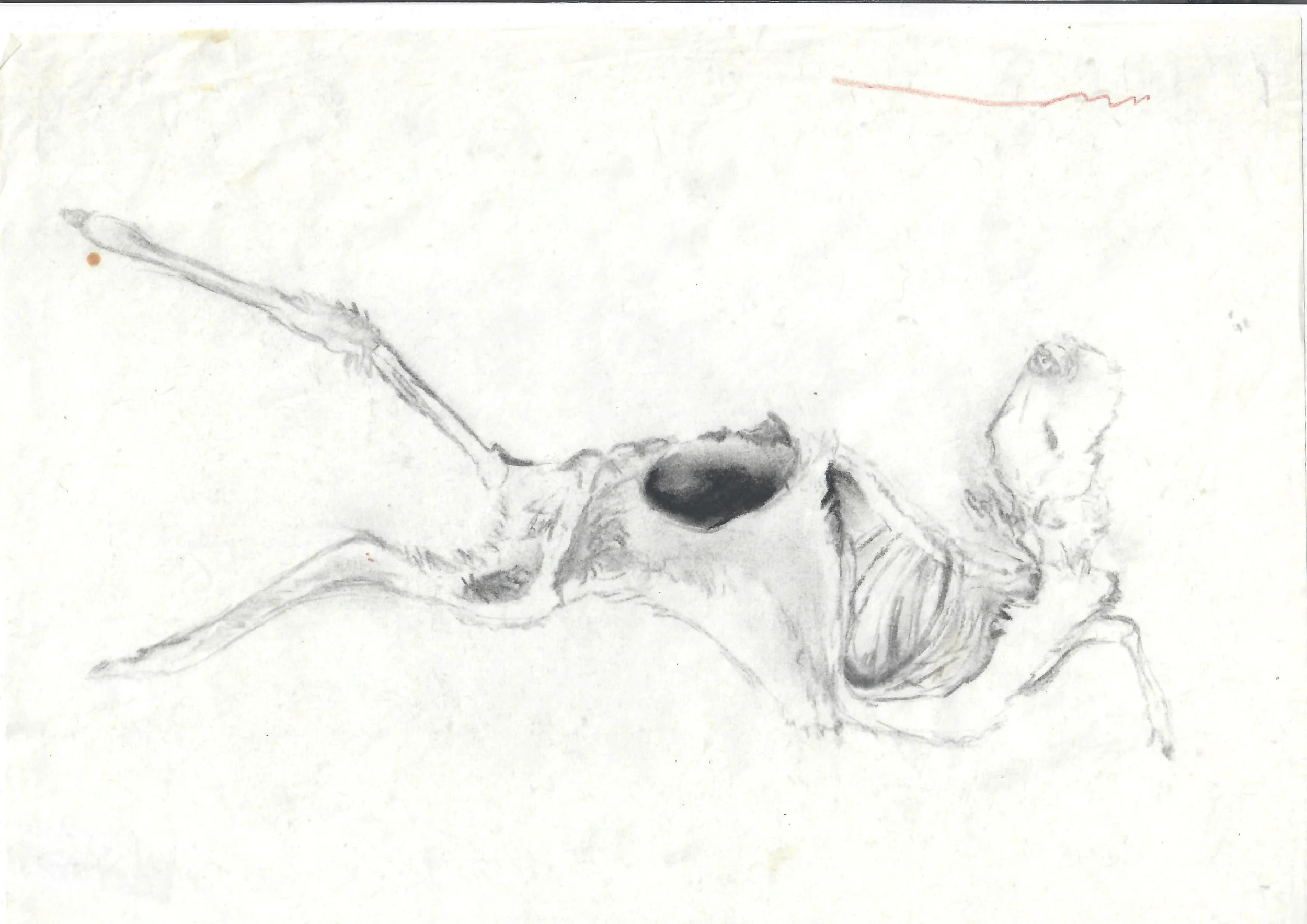 A black and white sketch of a dog with its mouth open, viewed from above, with one paw raised.