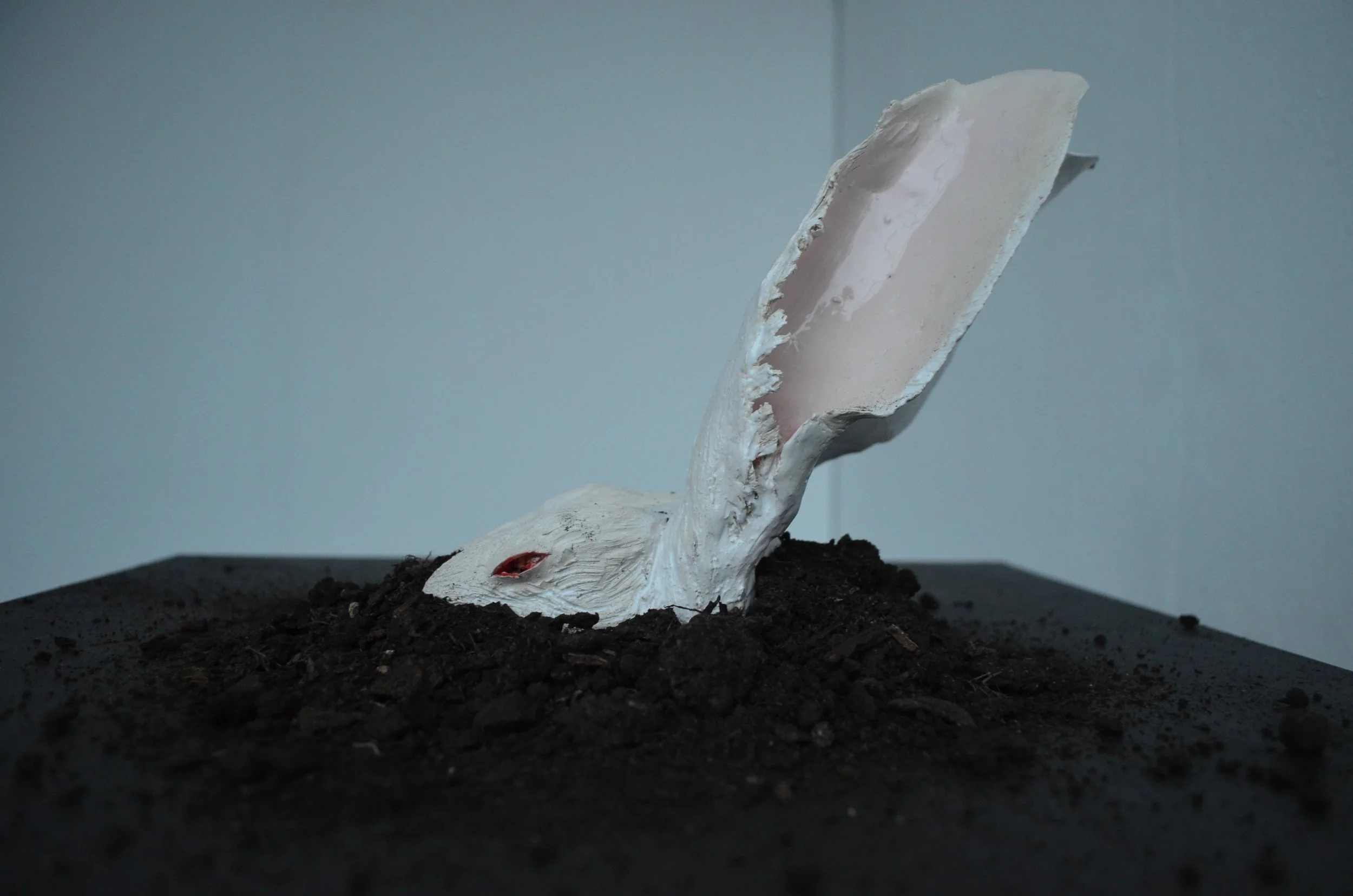 A sculpture of a human face with the mouth open, emerging from the ground, set on a black surface with dark soil. The sculpture is made of a pale material and depicts a distressed expression.
