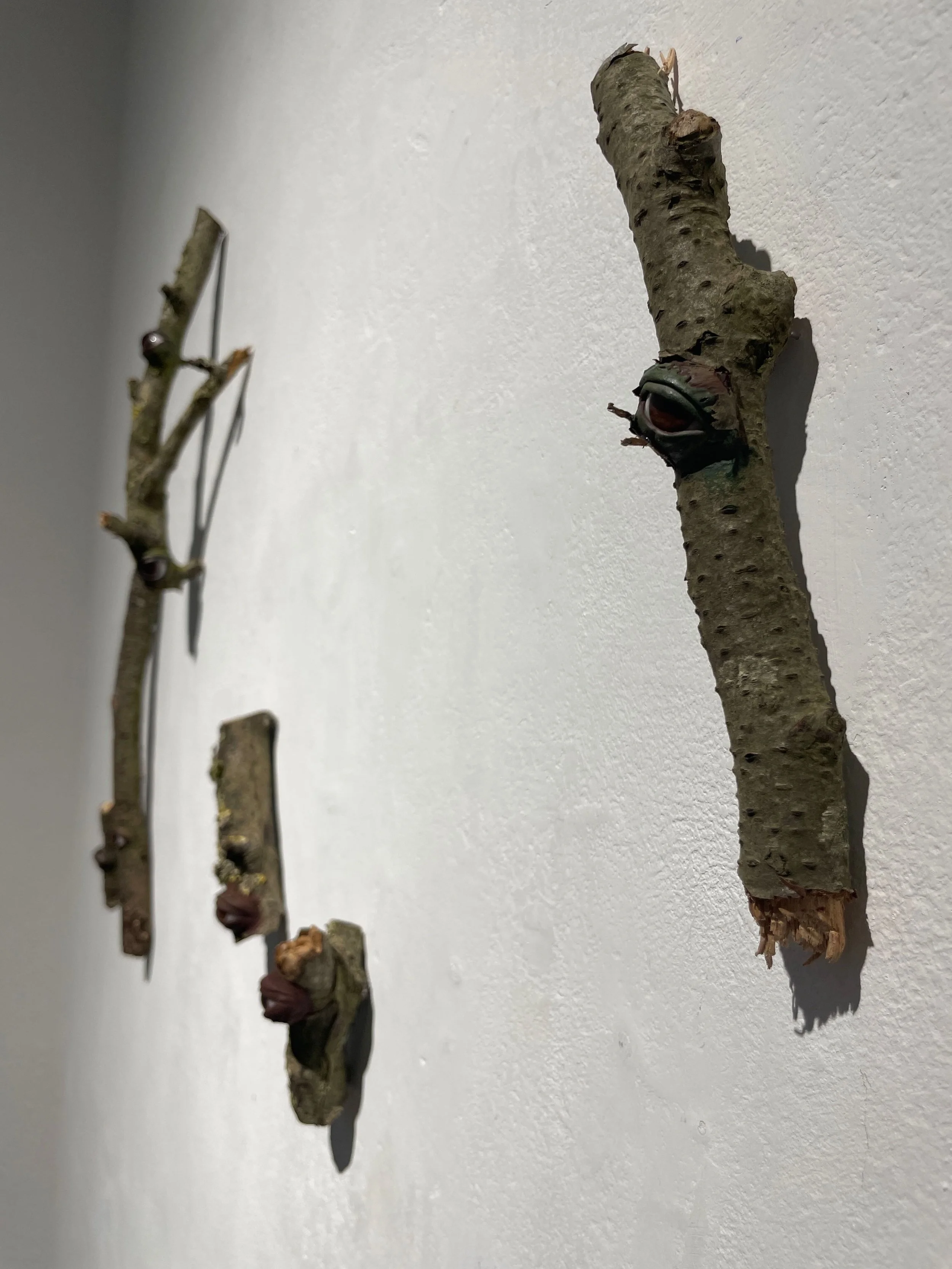 Several small tree branches mounted on a white wall, with one branch in the foreground and others fading into the background.