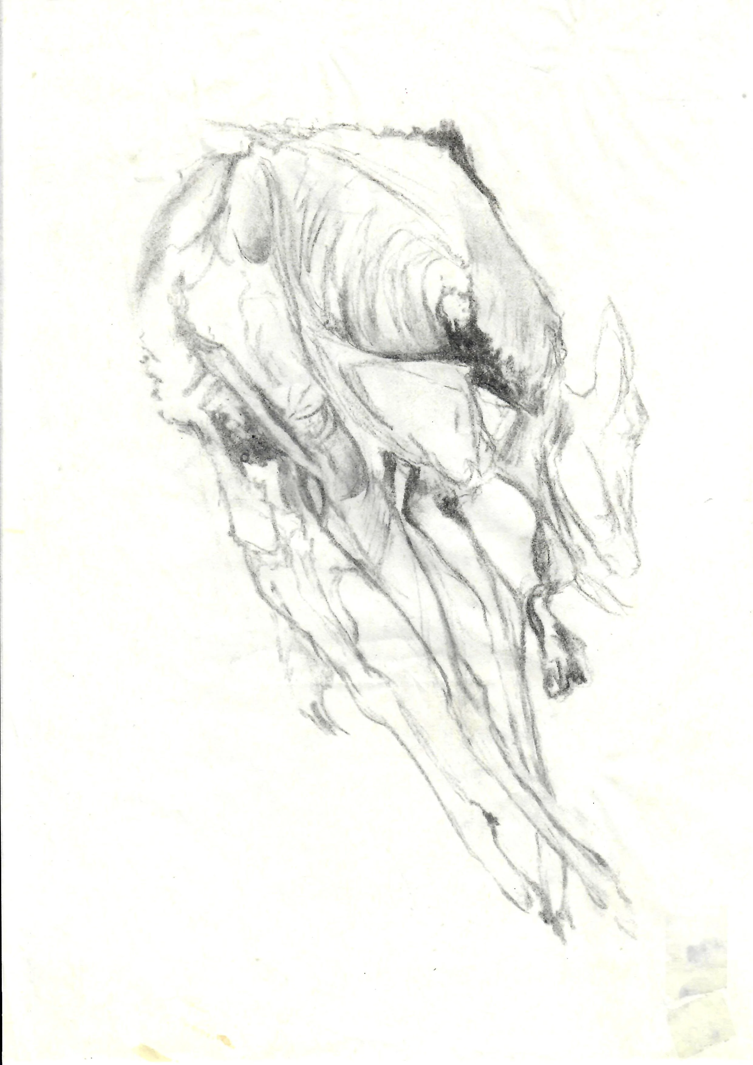 A pencil sketch of a person leaning forward with arms extended, depicted in a dynamic pose.