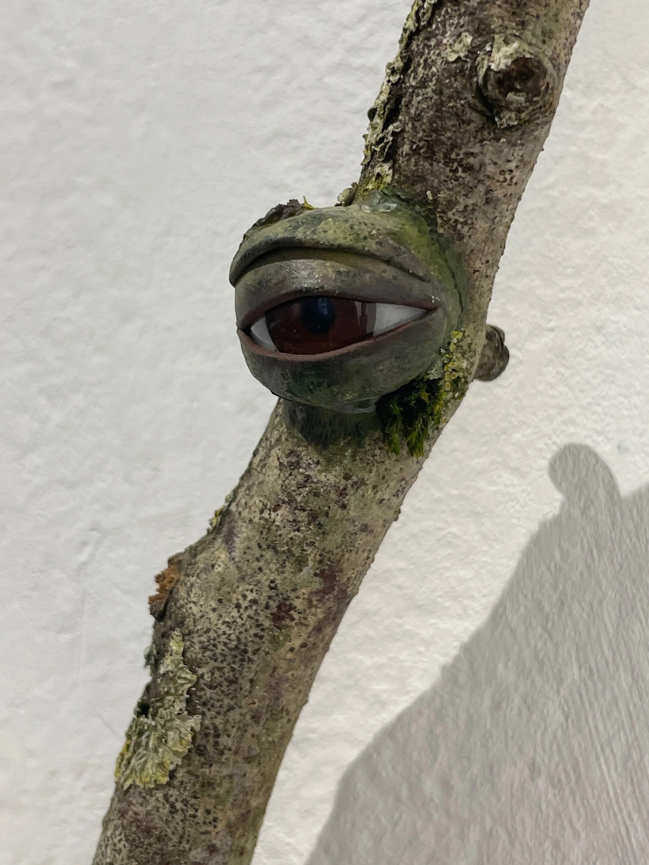 Branches of the eye #9