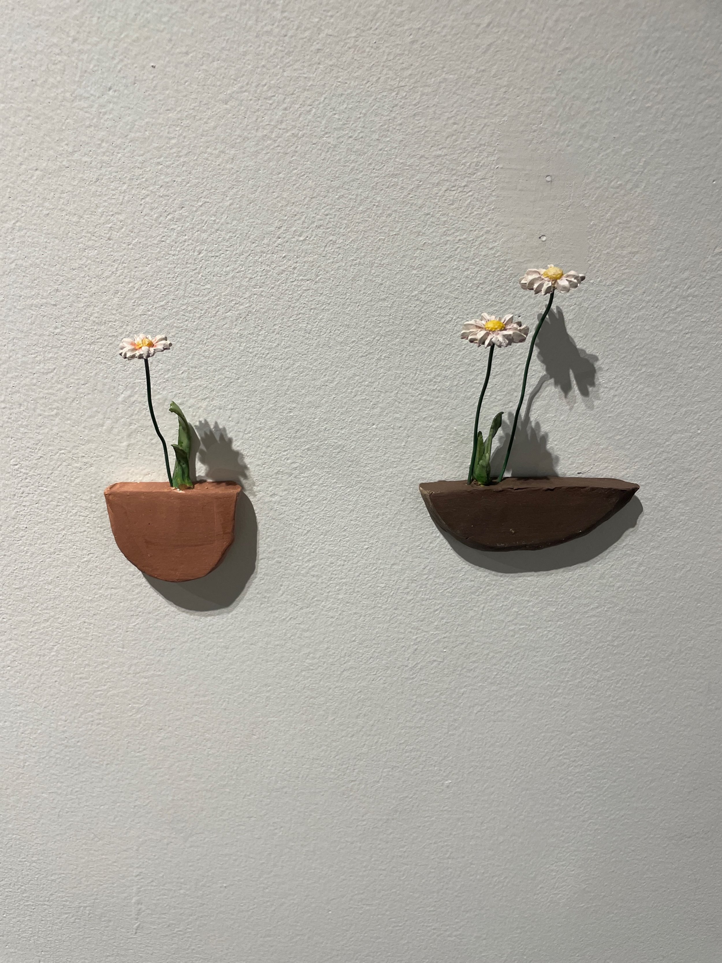 Decorative wall art featuring two small terracotta and clay planters with daisy flowers casting shadows on a white wall.