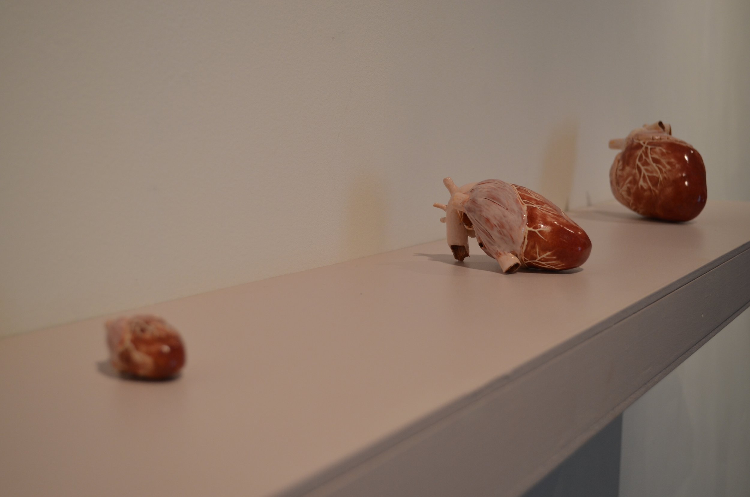 Three anatomical models of human hearts displayed on a light-colored shelf against a plain wall.