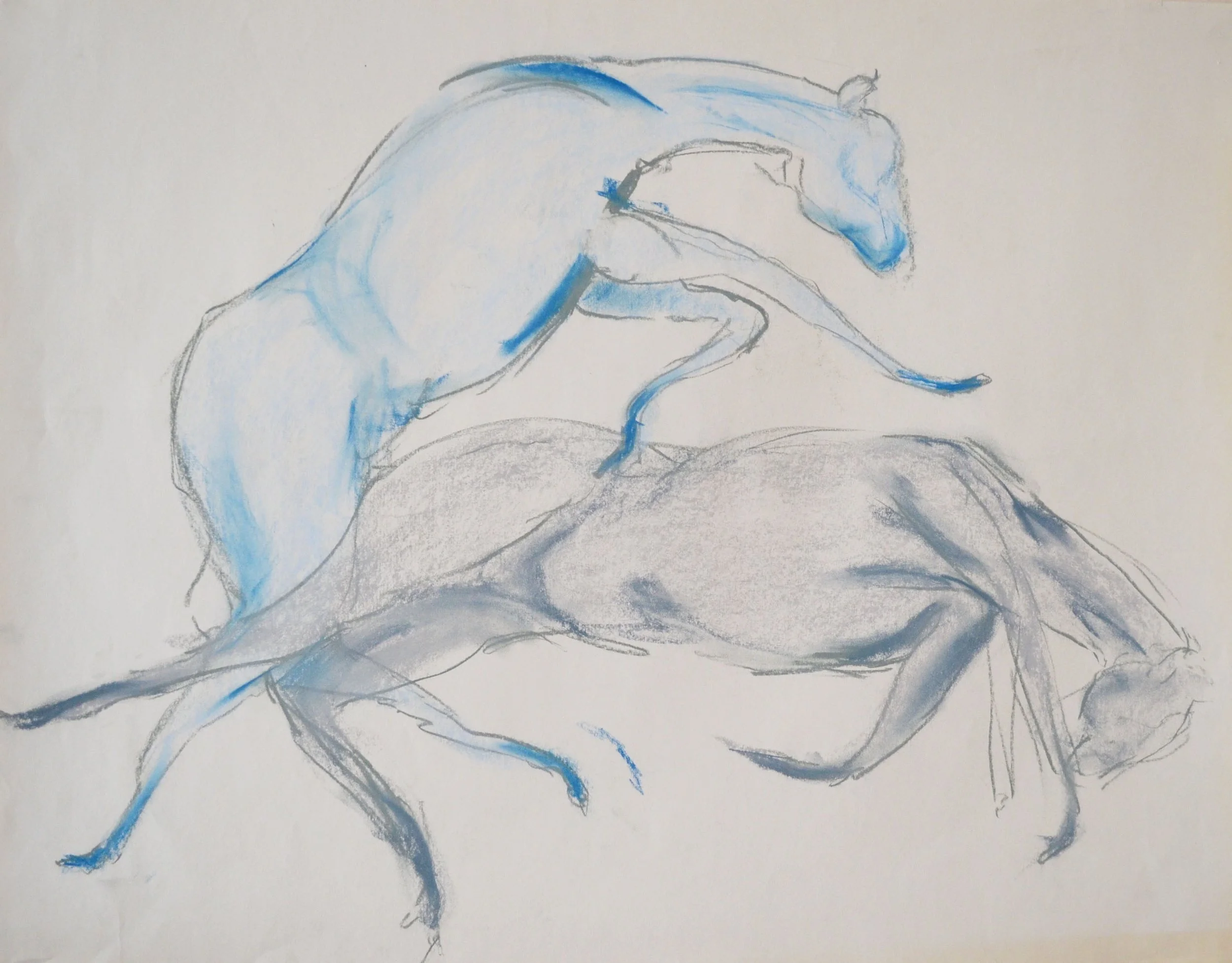 Sketch of two horses, one blue and one gray, with minimal detail.