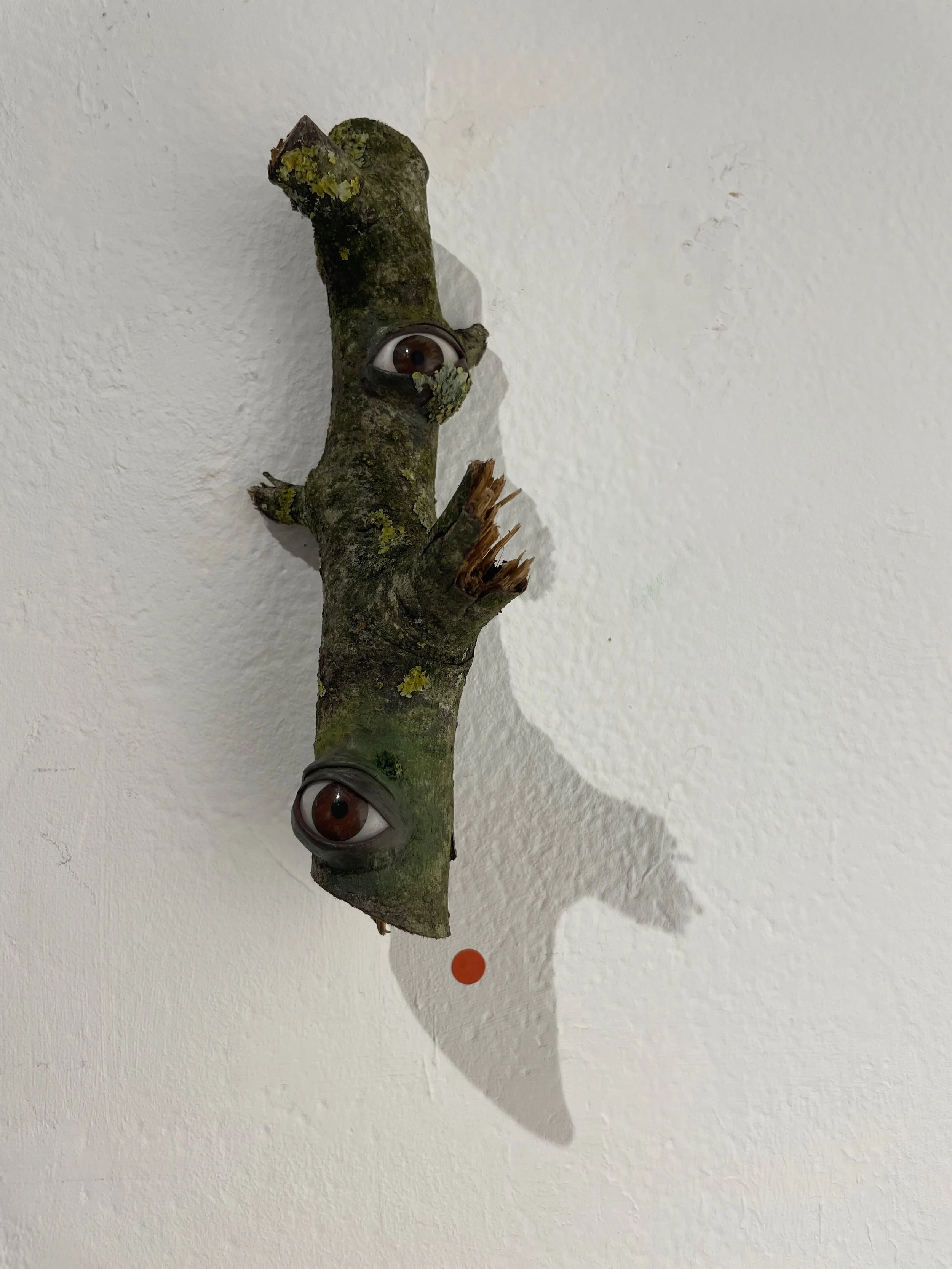 A piece of tree branch with two large, realistic eyes attached, mounted on a white wall, casting a shadow.