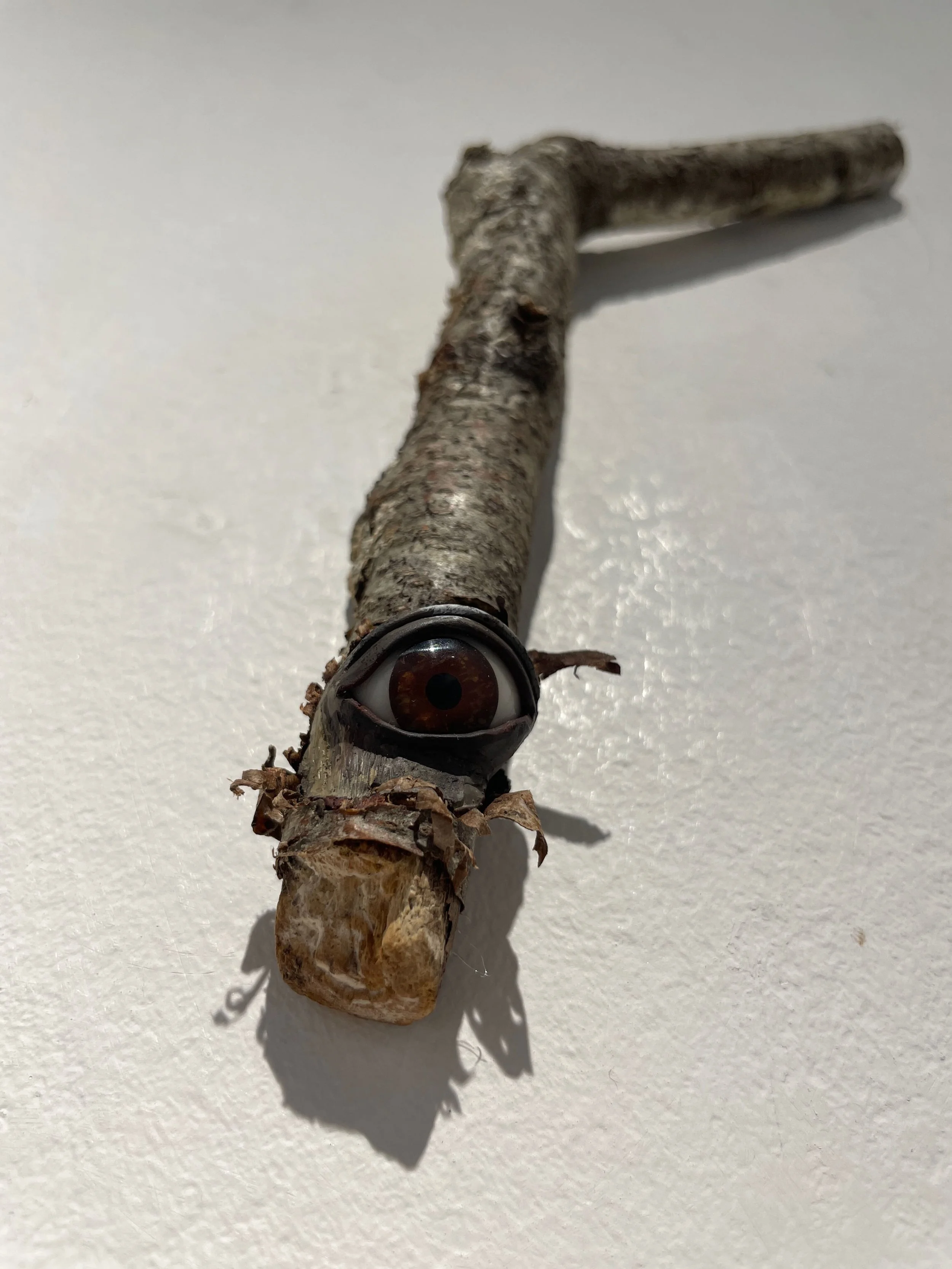 A small stick with a painted eye attached to its end, resembling a face, on a plain white surface.