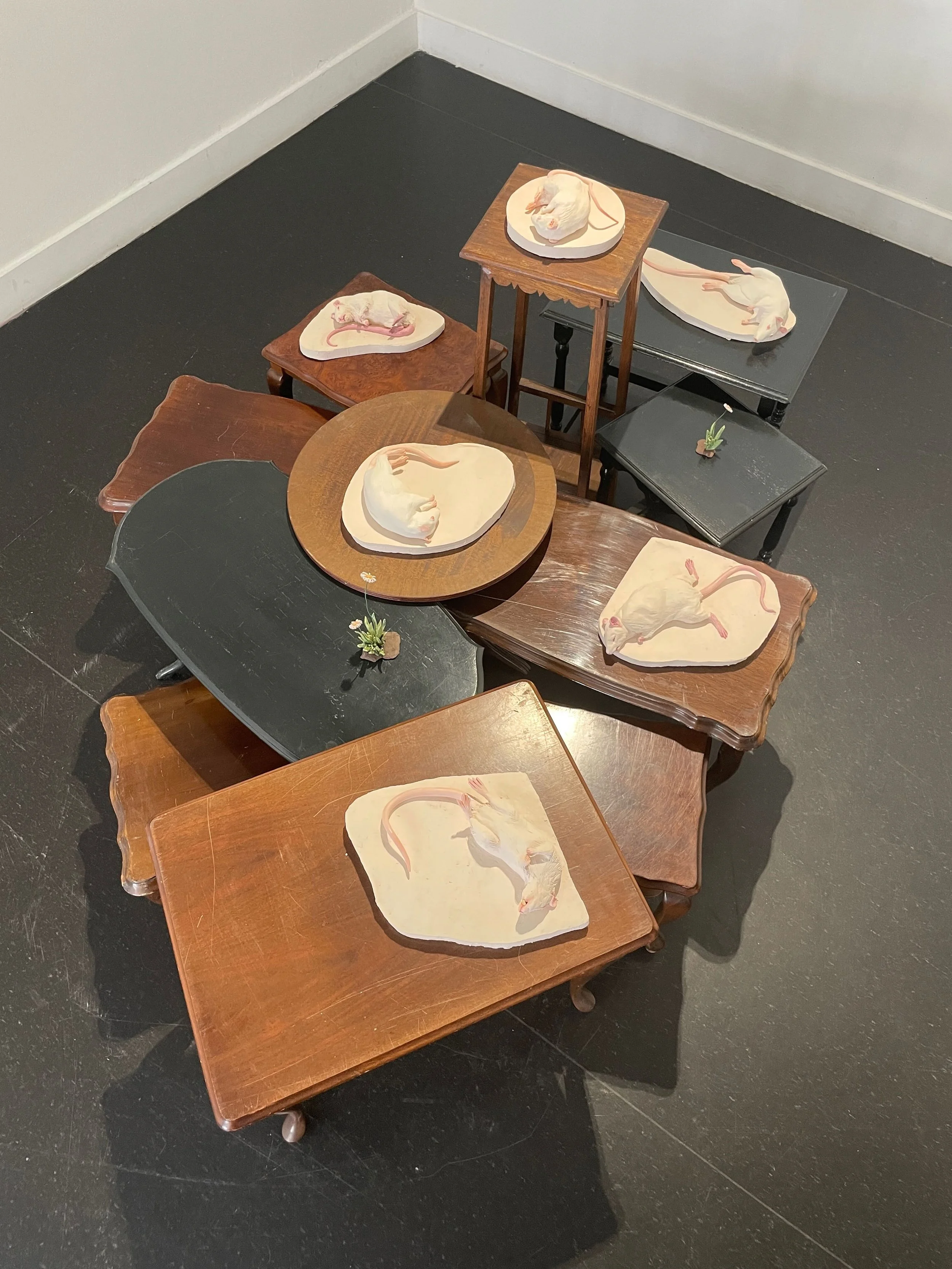 Multiple wooden tables of various sizes and shapes with ceramic sculptures of rats and mice, some lying on their sides and others curled up, arranged on the tables in an art display or installation.