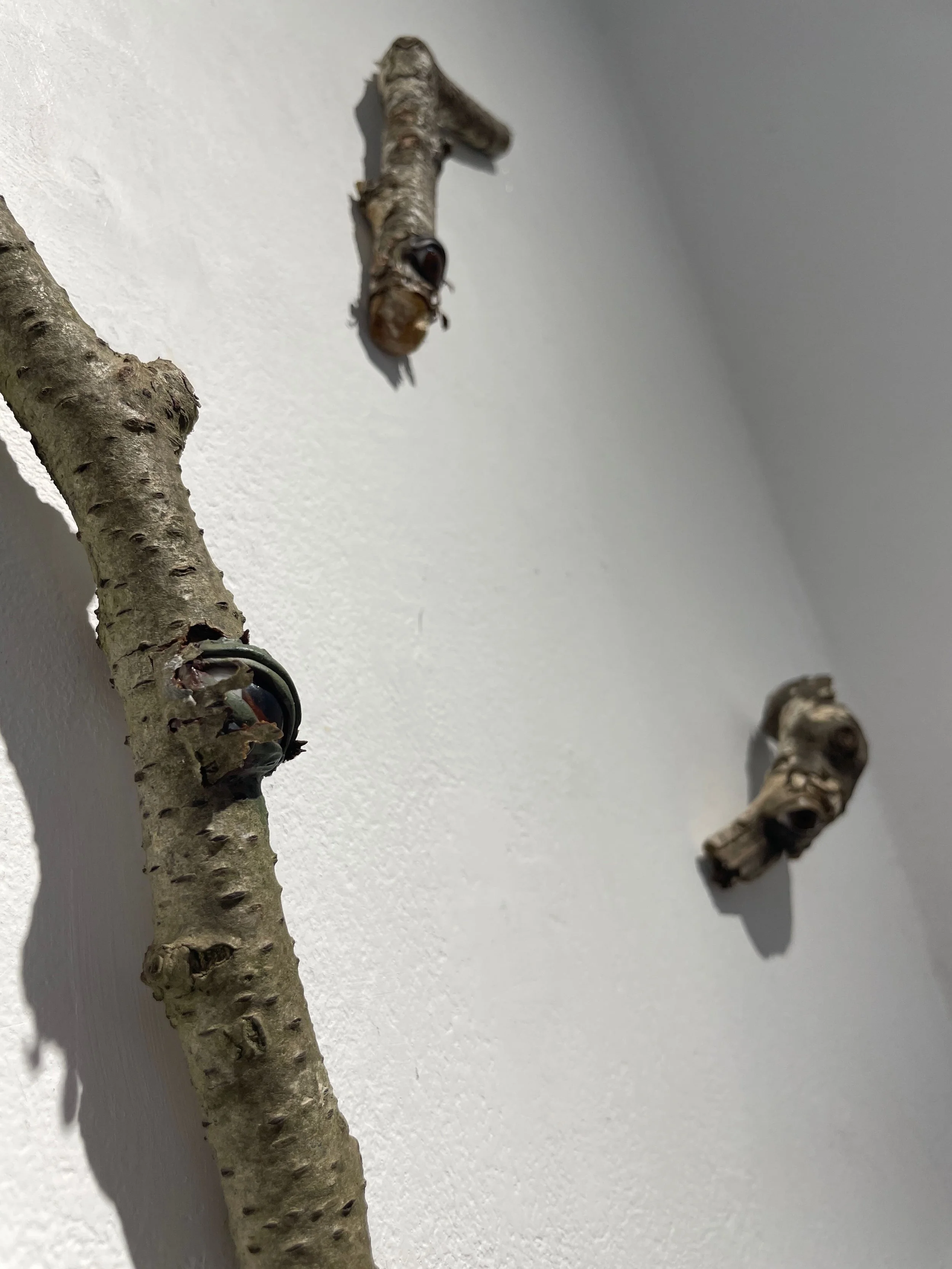 Three tree branch pieces mounted on a white wall, with a caterpillar on the top branch.