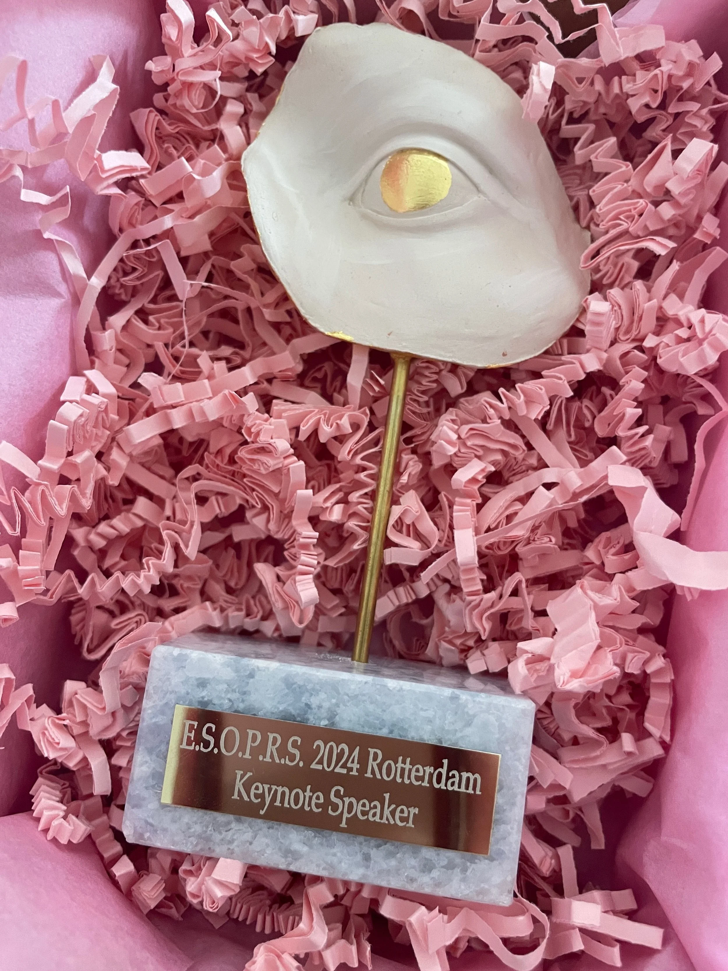 A decorative award featuring a white sculpture of an eye on a gold stick, set on pink crinkle paper with a plaque that reads 'E.S.O.P.R.S. 2024 Rotterdam Keynote Speaker'.