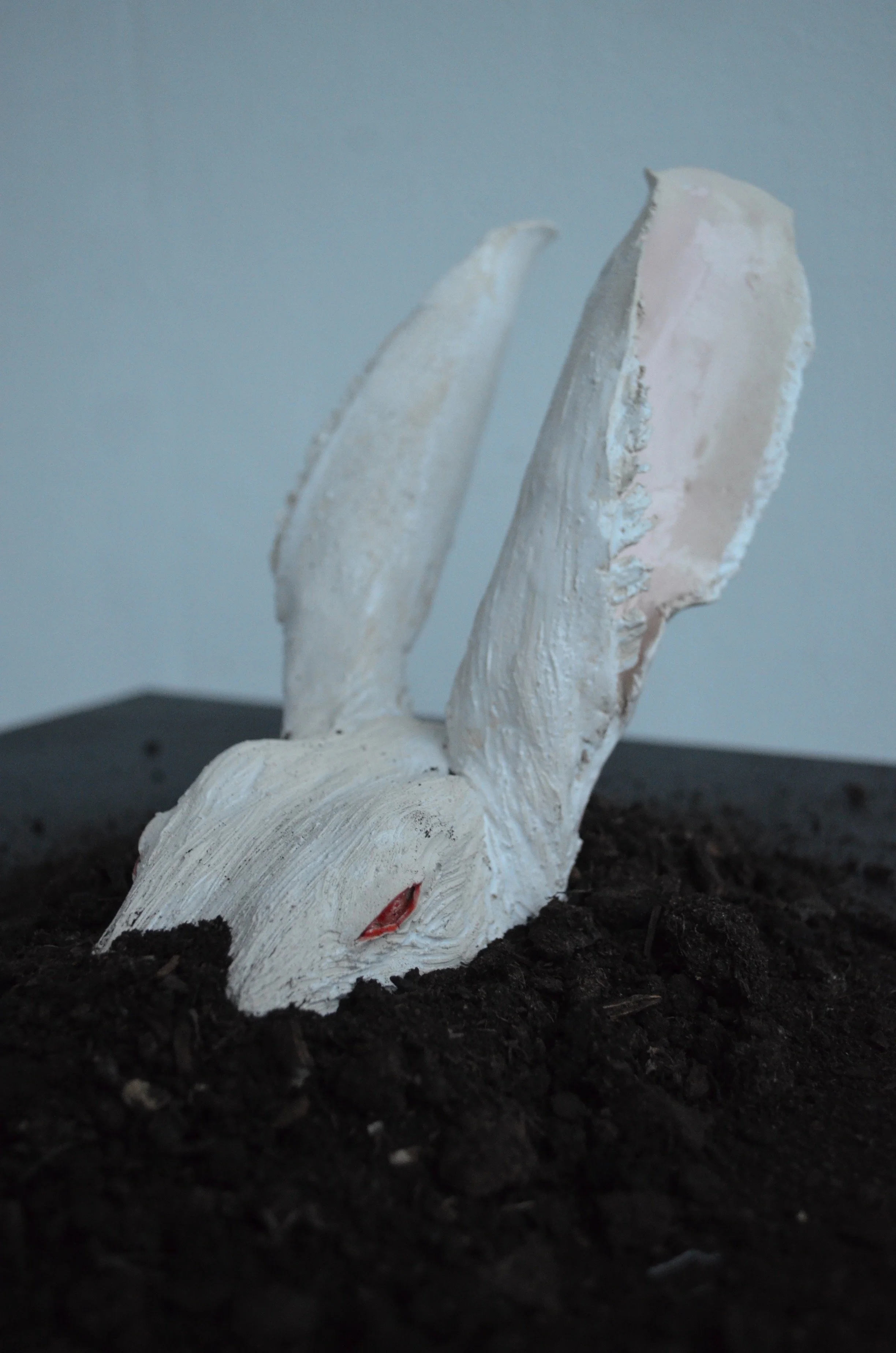 A white painted sculpture of a rabbit's head and ears, partially buried in dark soil, with a plain light blue background.