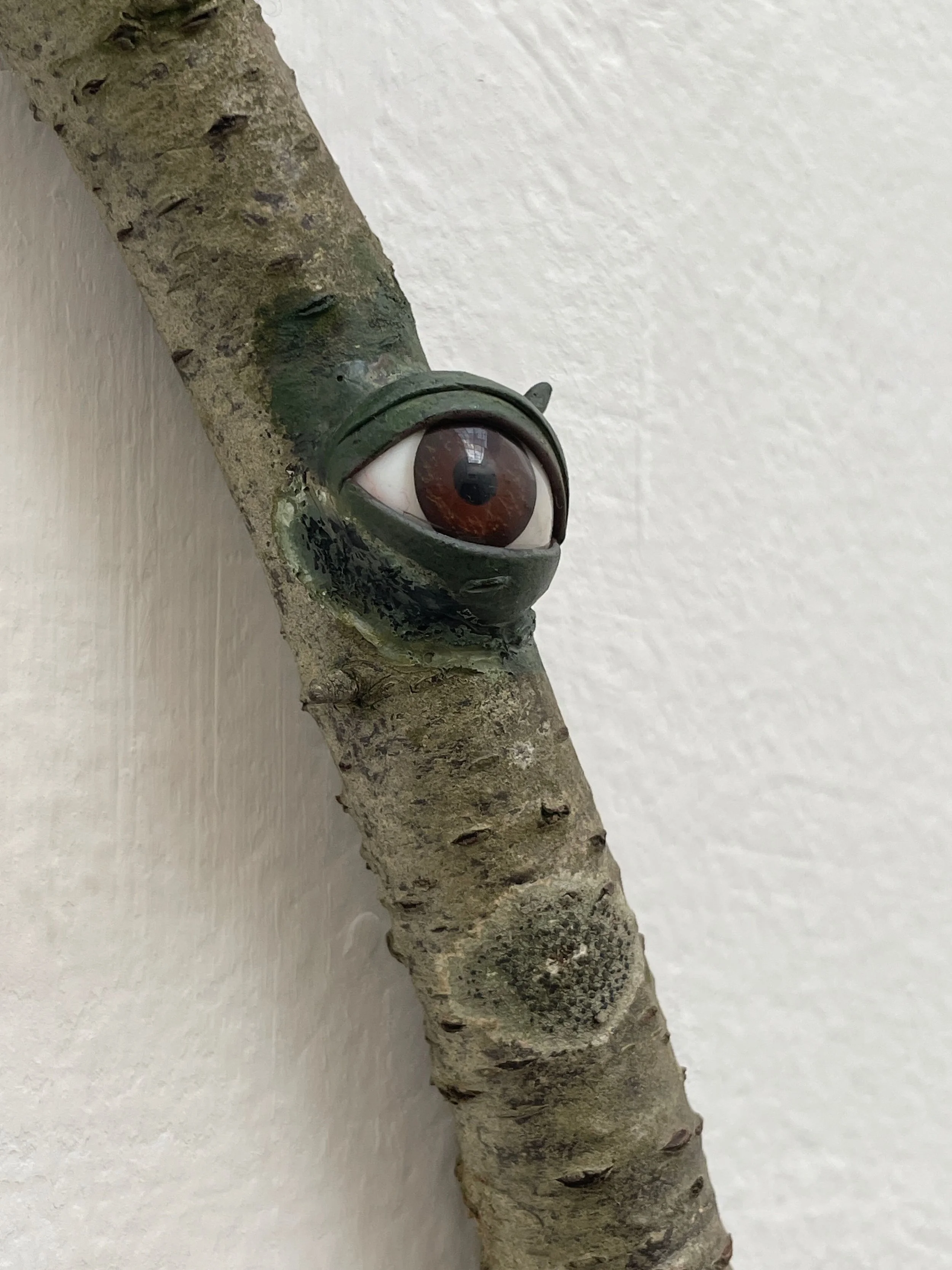 A tree branch with a painted eye on it, giving the appearance of a large human eye.
