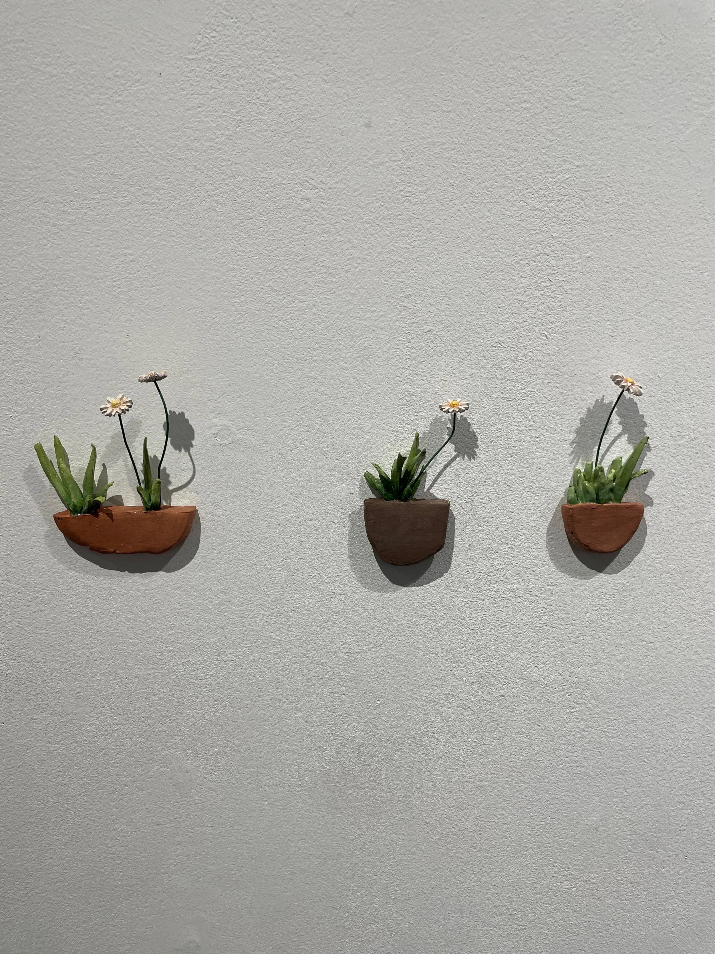 Three small wall-mounted terracotta planters with succulents and daisies on a plain white wall.