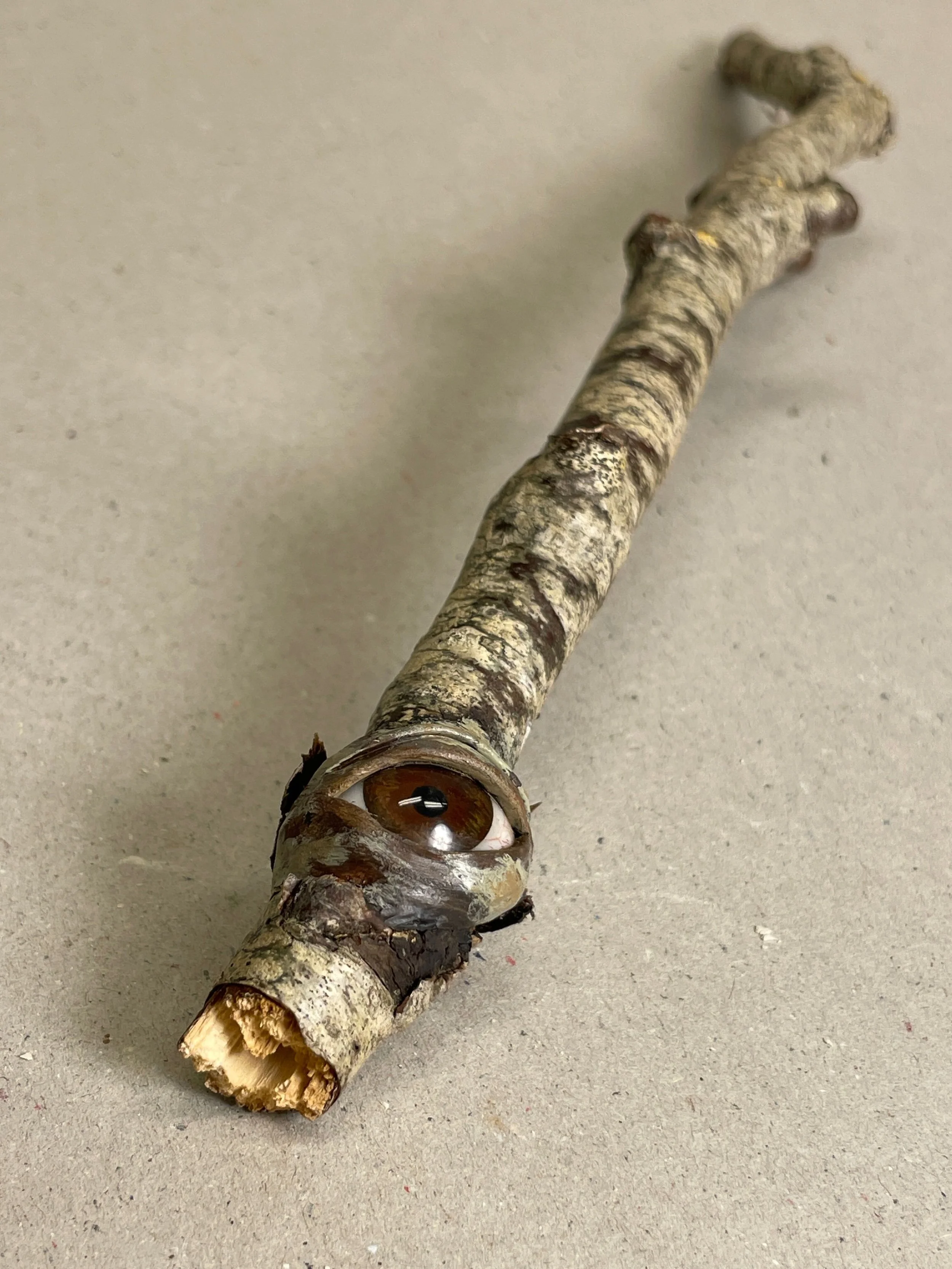 A small branch with an artificial eye attached near one end, placed on a flat surface.