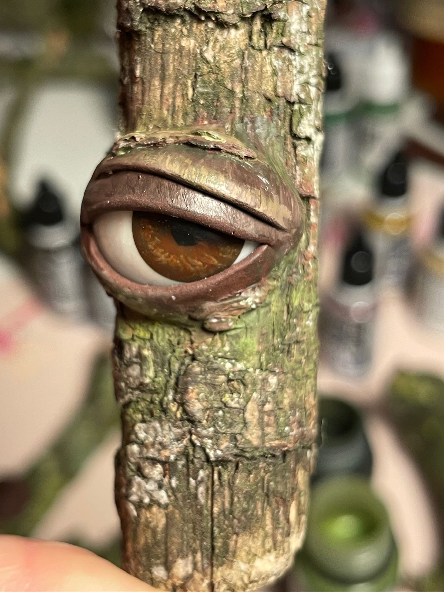 A close-up of a tree branch with a large, realistic prosthetic eye embedded in the bark.