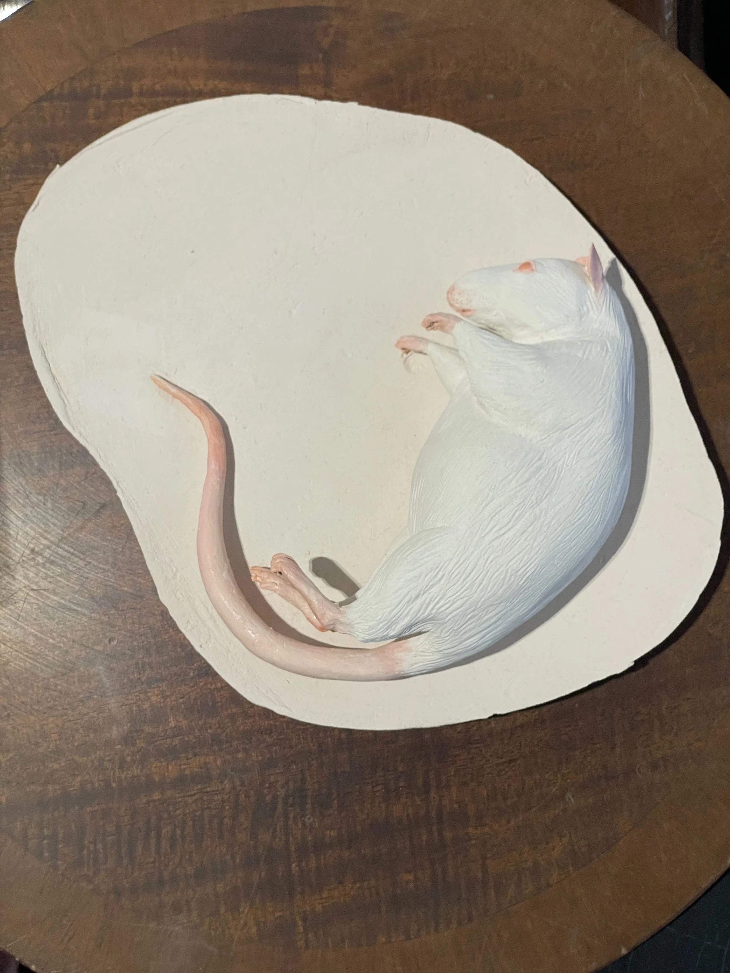 On the side table of life rat #5