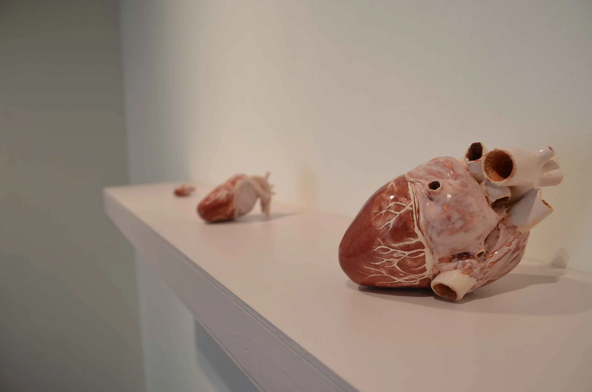 Ceramic sculptures resembling human organs on a white shelf, including a detailed heart and other abstract organ shapes.
