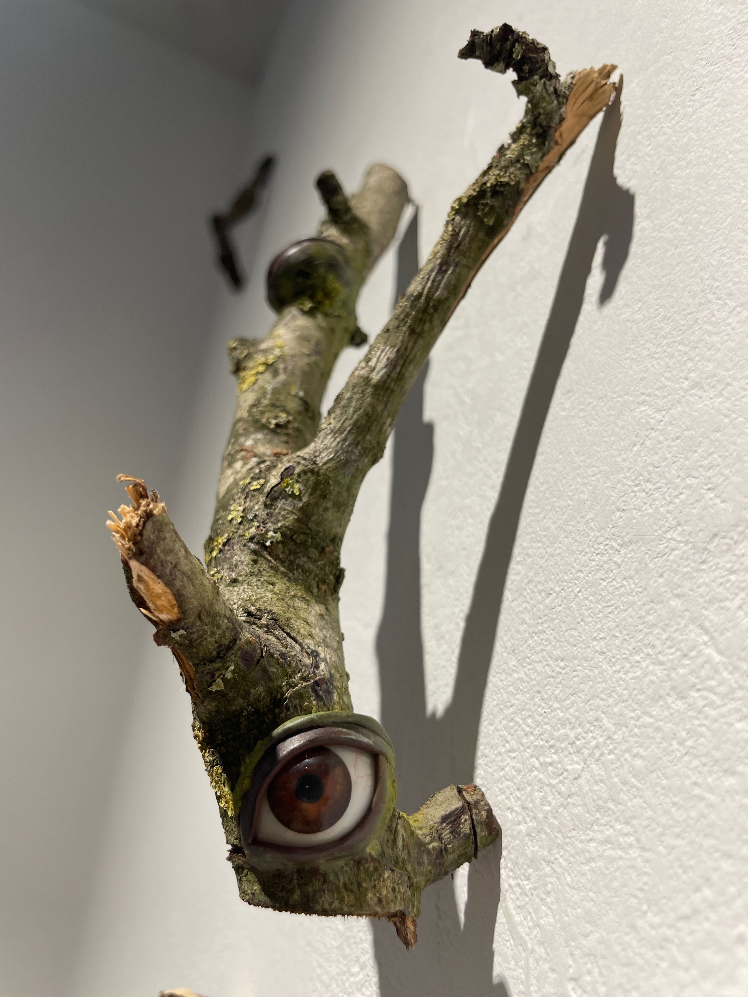 An art installation featuring a tree branch with a human eye model attached near the base, casting a shadow on a white wall.