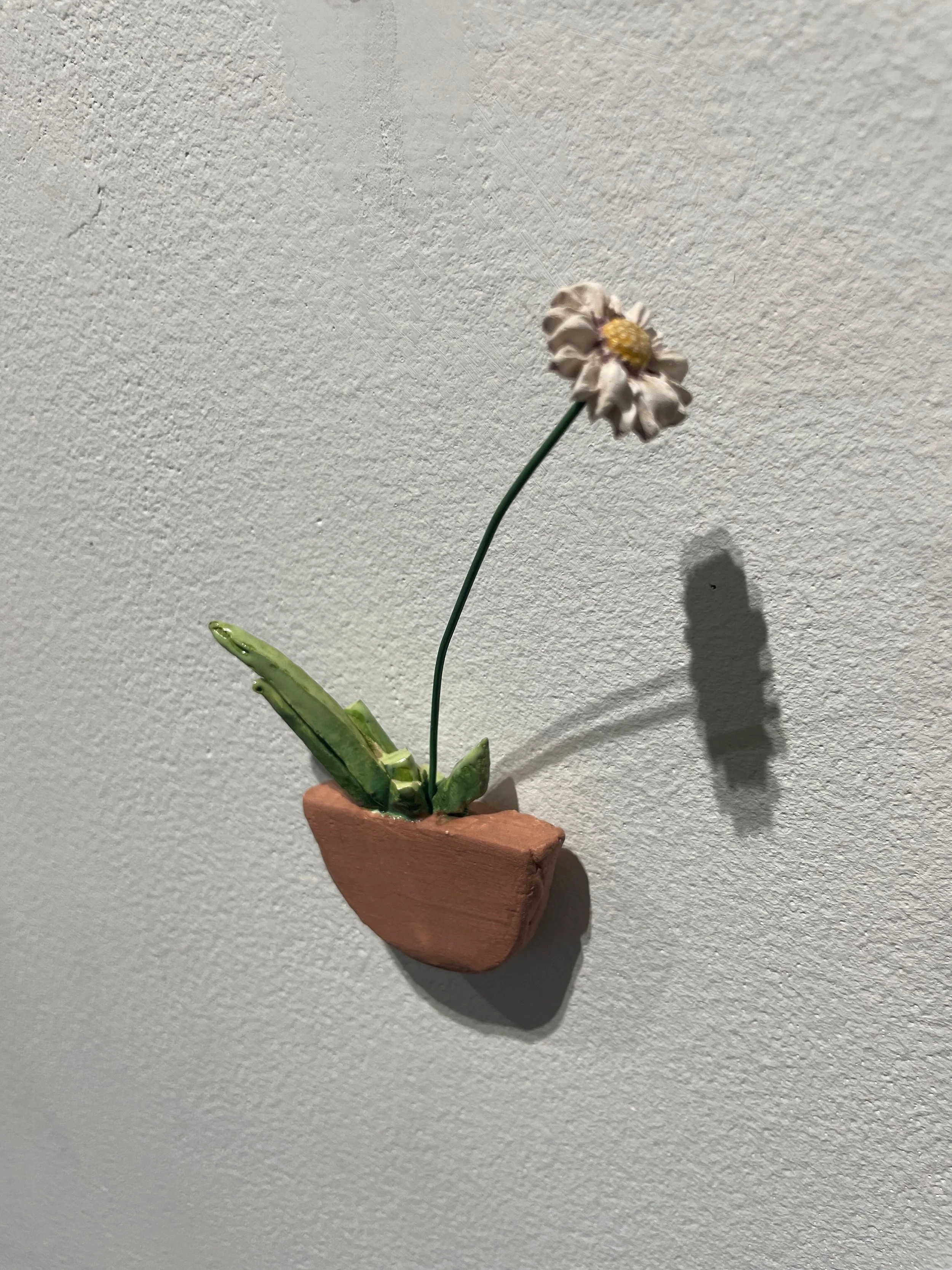 A small artificial plant with a white daisy in a terracotta pot mounted on a white wall, casting a shadow.
