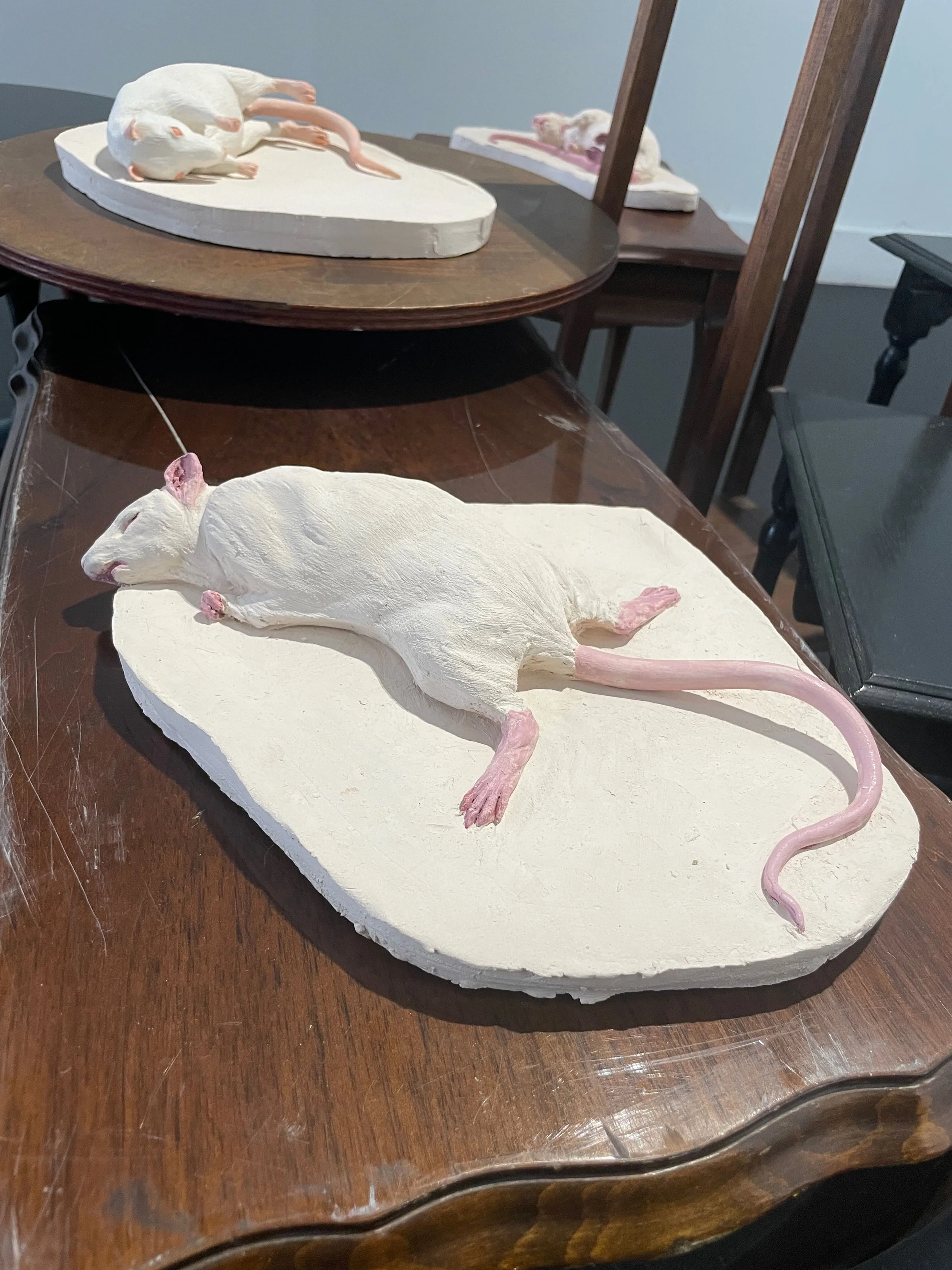 On the side table of life rat #4